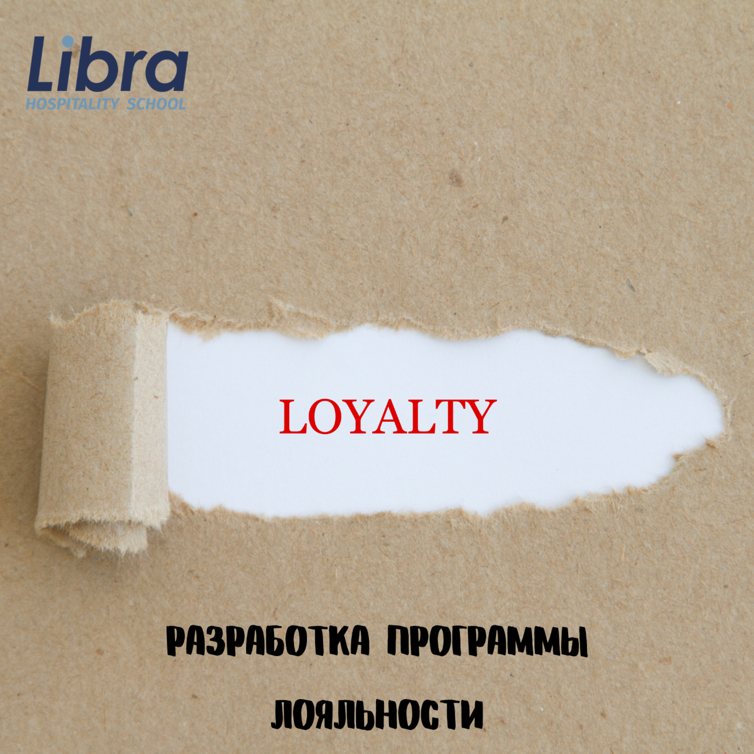 Разработка программы лояльности
