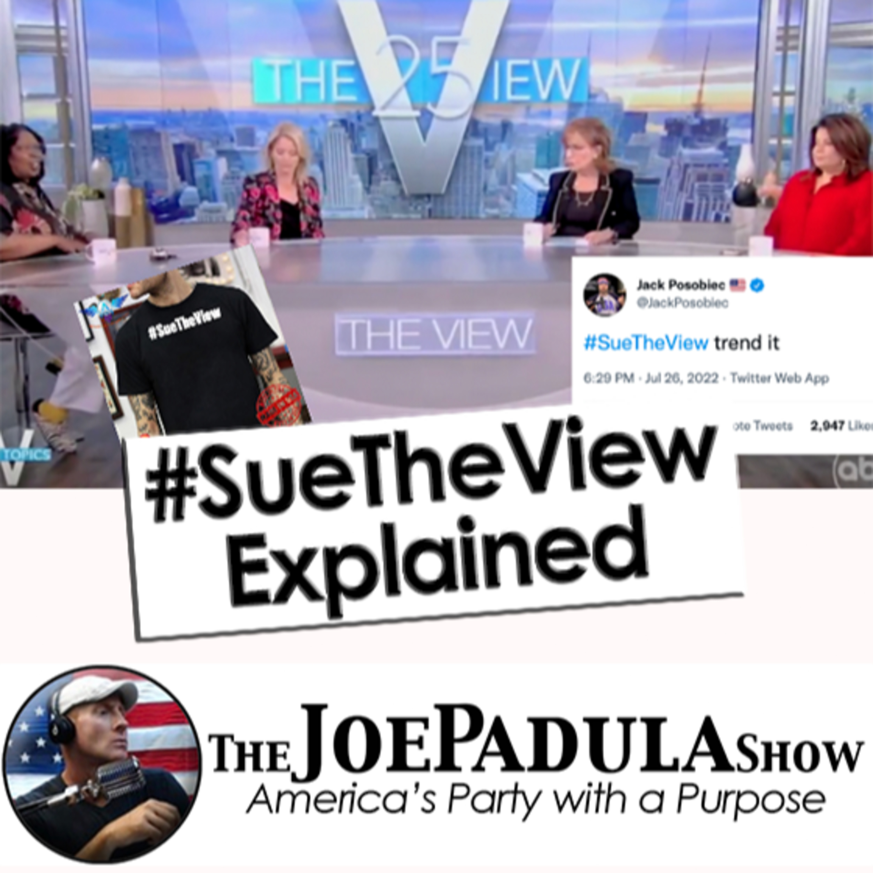 #SueTheView was trending on Twitter • Follow this Twitter account if you love Fun Facts about History • Meeting the CandidateL Chris Jones episode artwork
