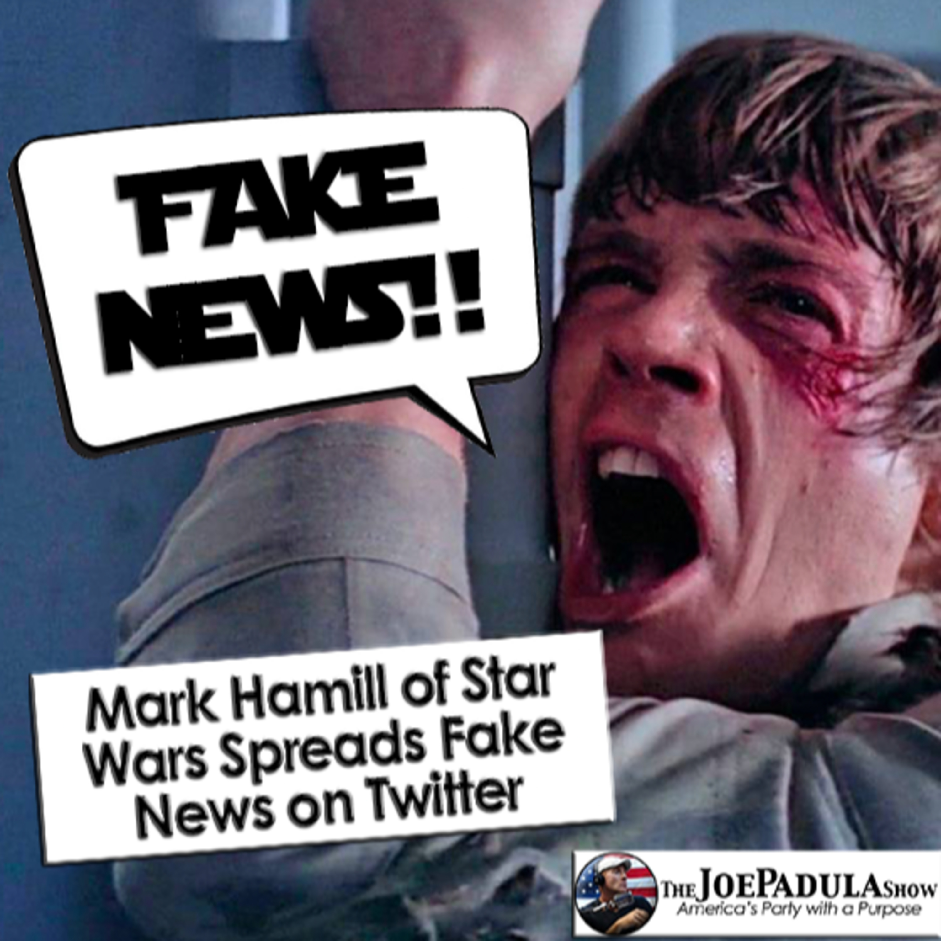 Mark Hamill of Star Wars Spreads Fake News on Twitter about Republicans Banning Books, why and why hasn't he taken it down? episode artwork