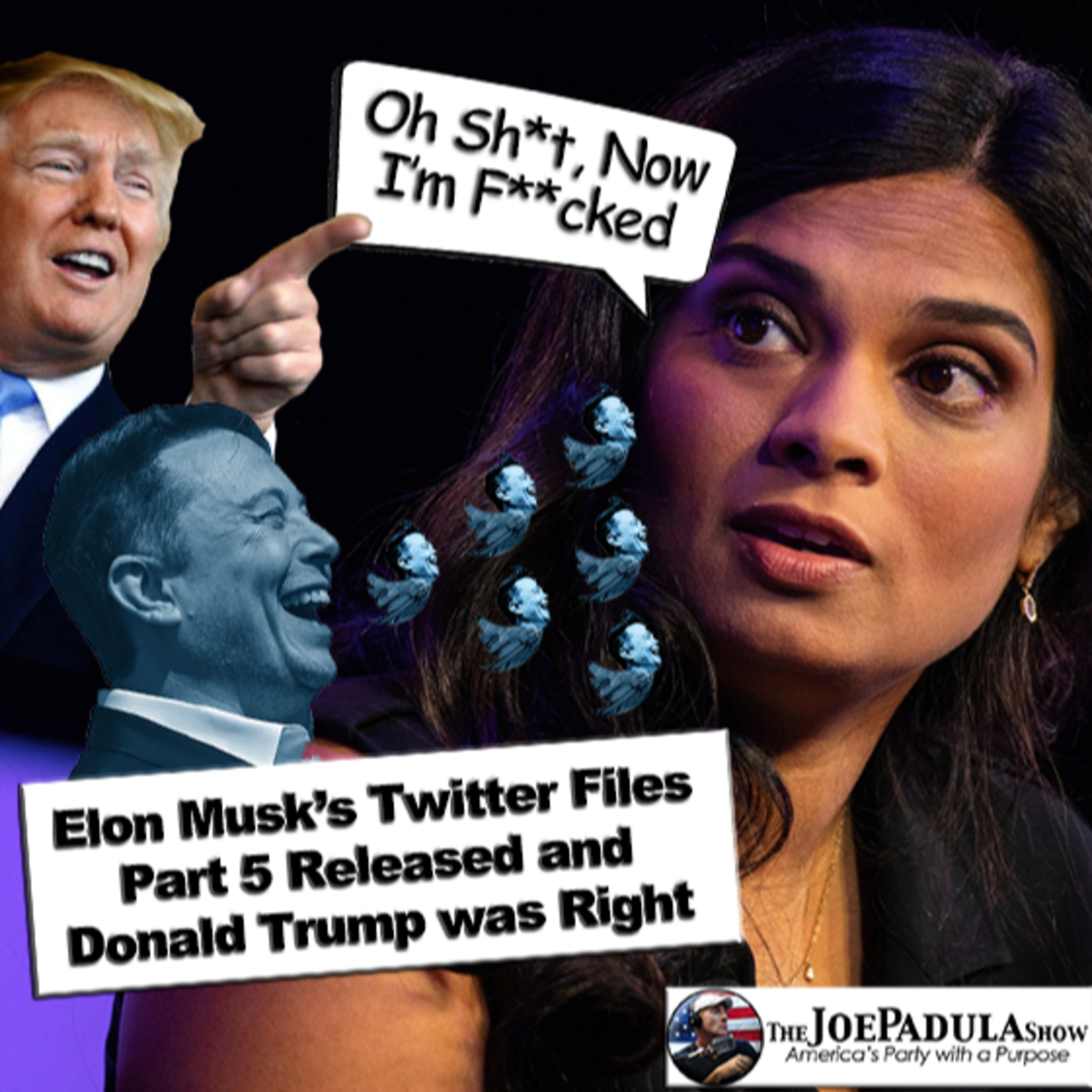 Elon Musk’s “Twitter Files” part 5 was released by Bari Weiss and Donald Trump was Right, Again episode artwork