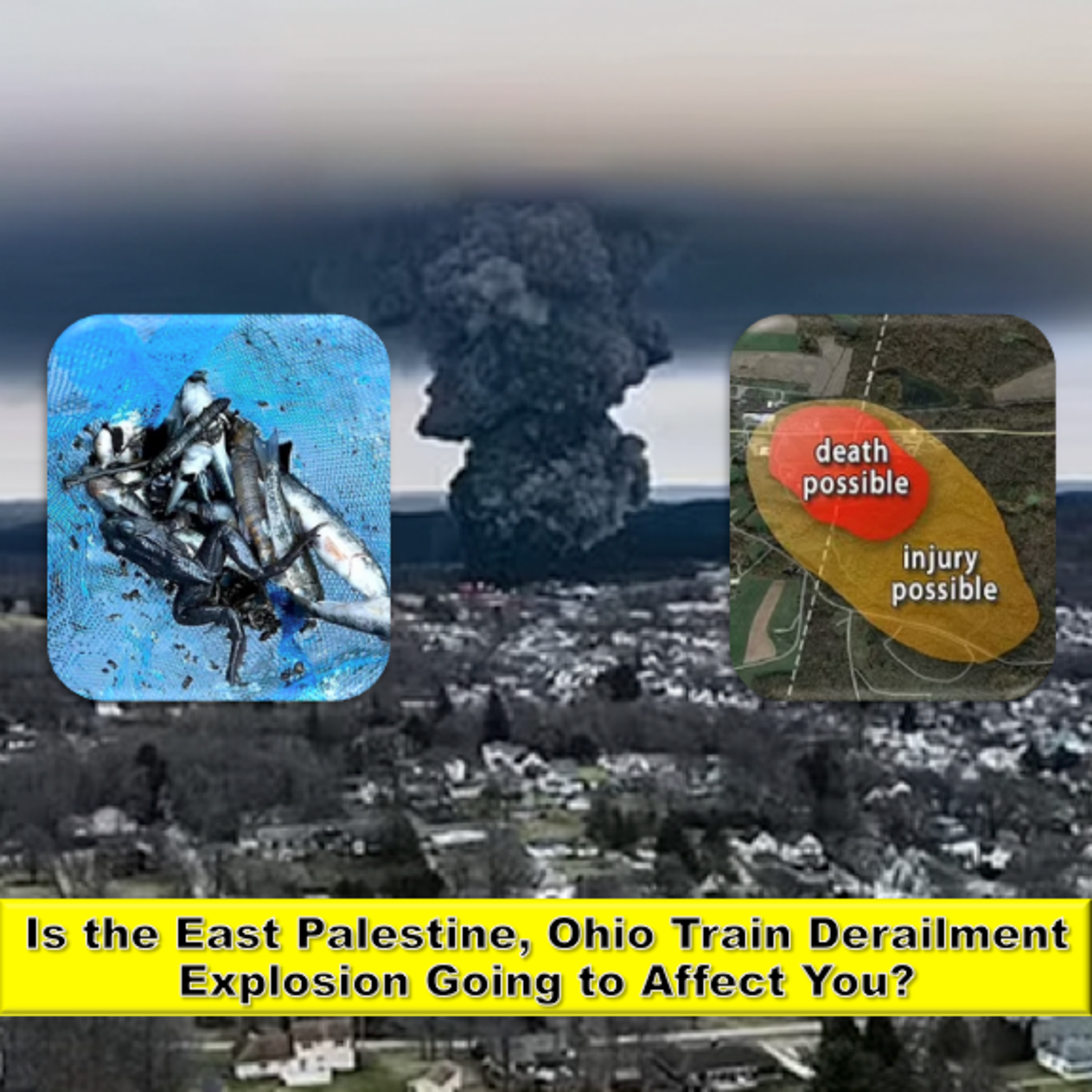 Is the East Palestine, Ohio Train Derailment Explosion Going to Affect You?  episode artwork