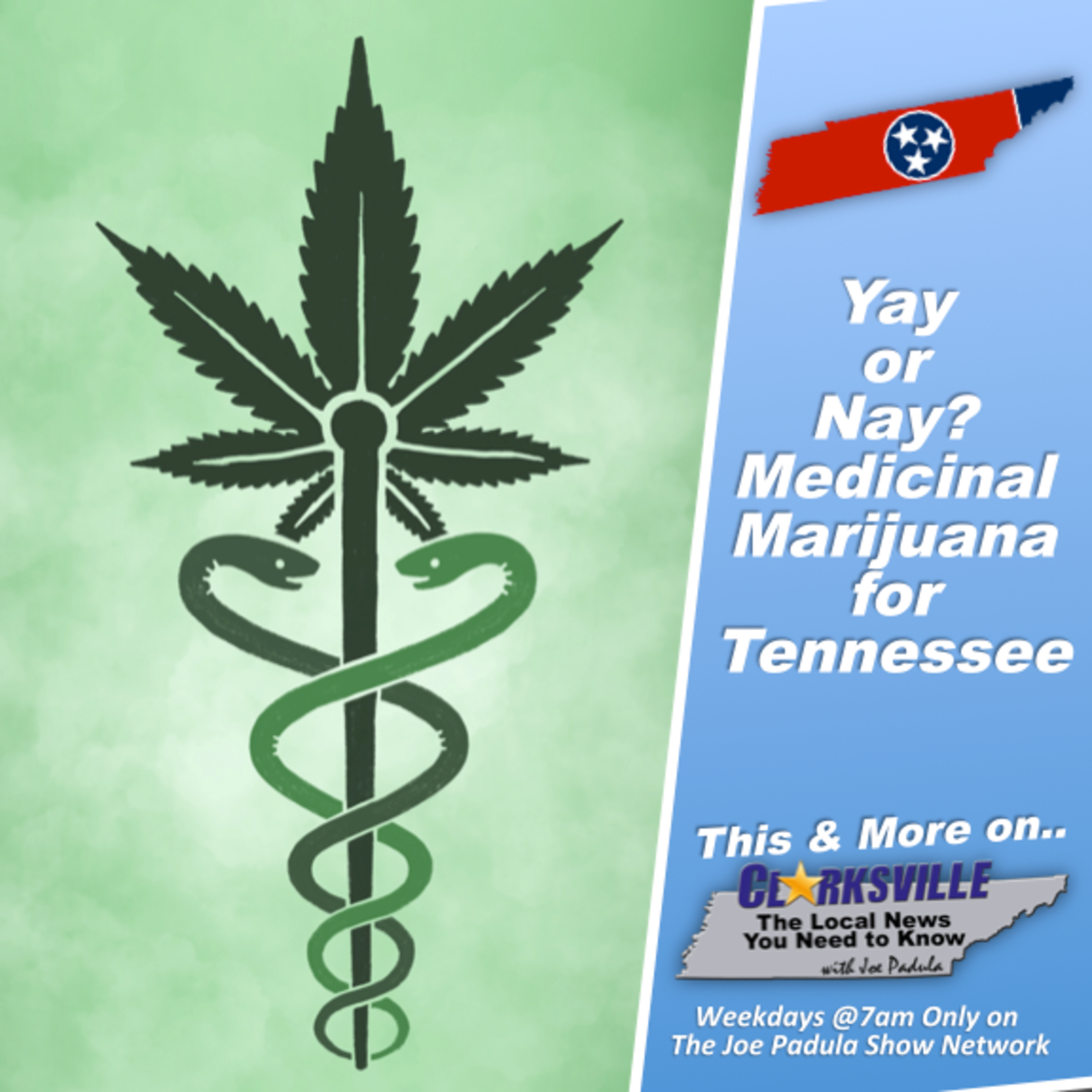 Medicinal Marijuana in Tennessee. Yay or Nay? The Local News You Need to Know with Joe & Maria episode artwork