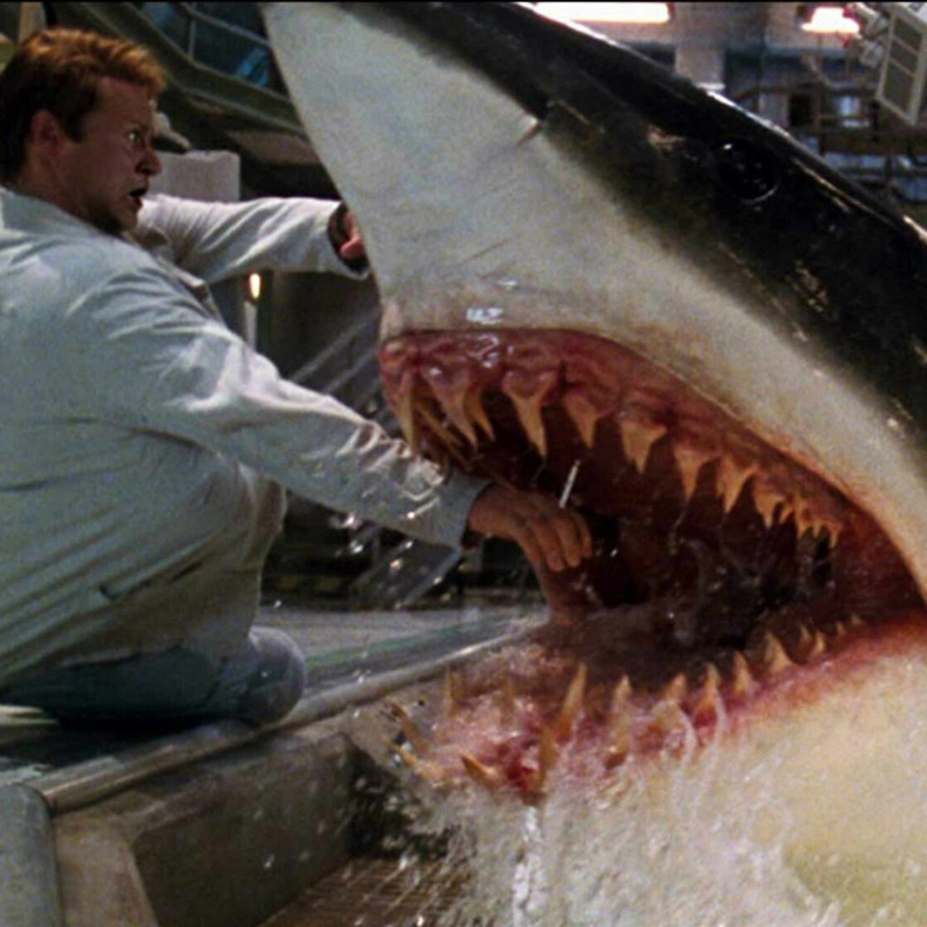 Shark Movies That Still Haven't Taught Us A Damn Thing On Screen episode artwork