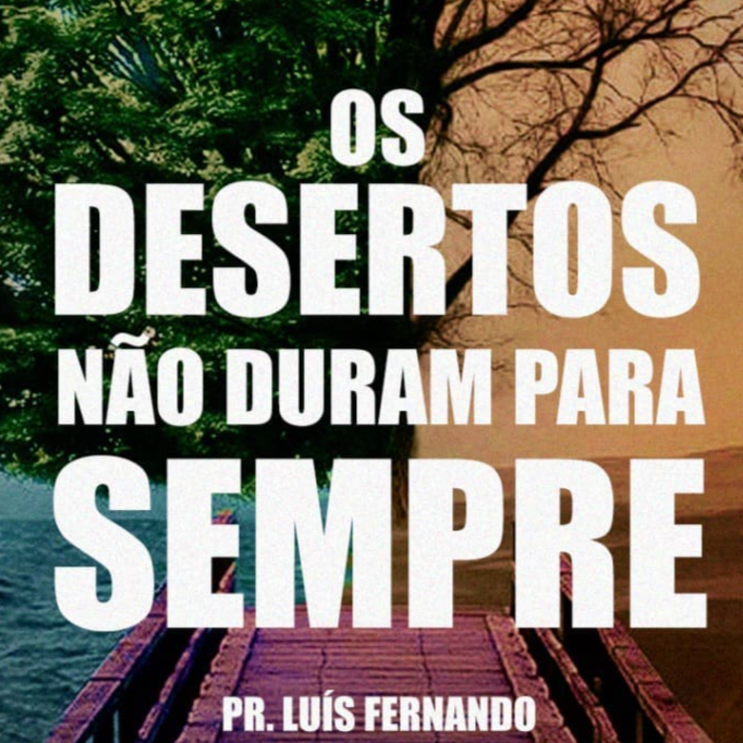Os Desertos Não Duram Para Sempre - Parte 1  episode artwork