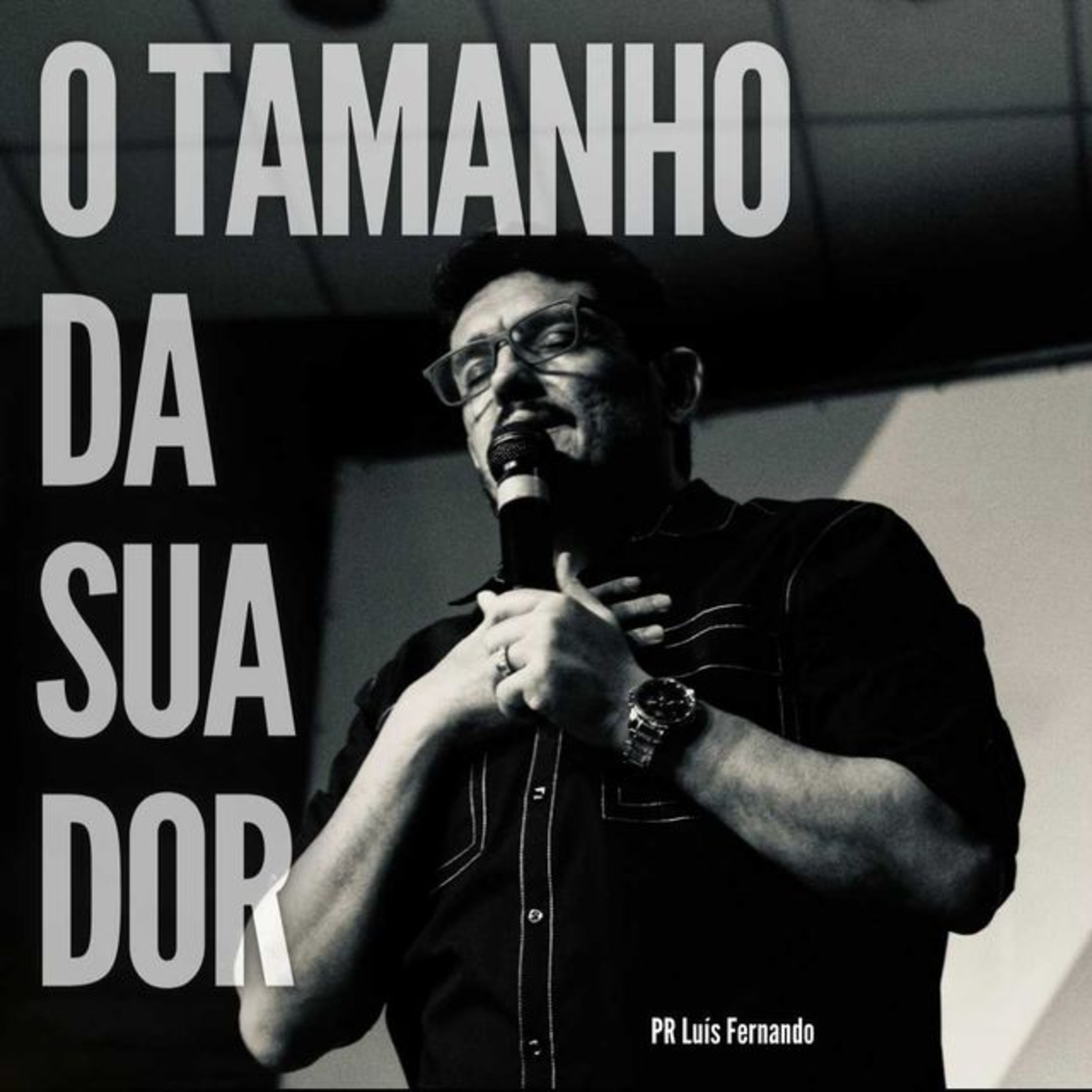 O Tamanho da sua dor episode artwork