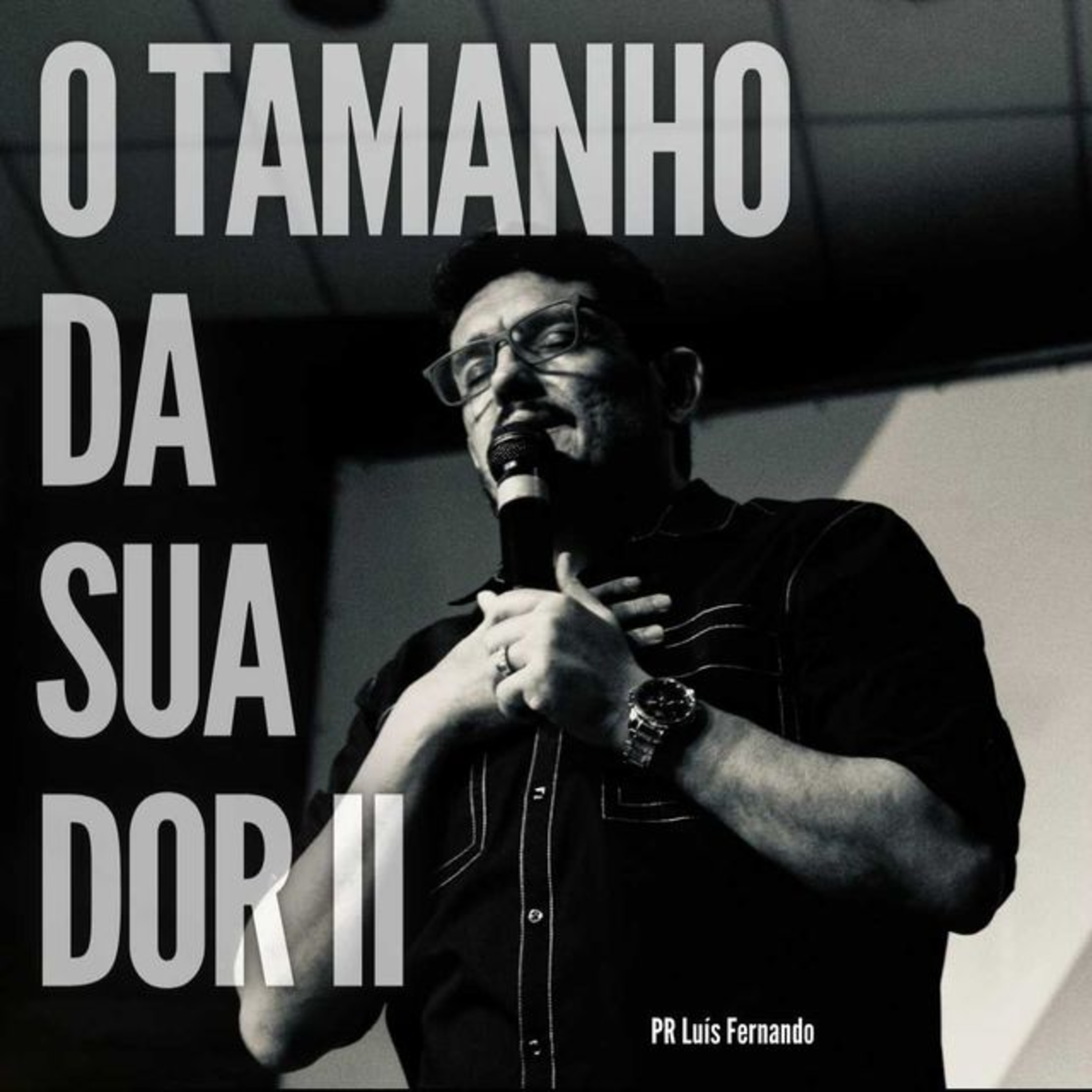 O Tamanho da sua dor II