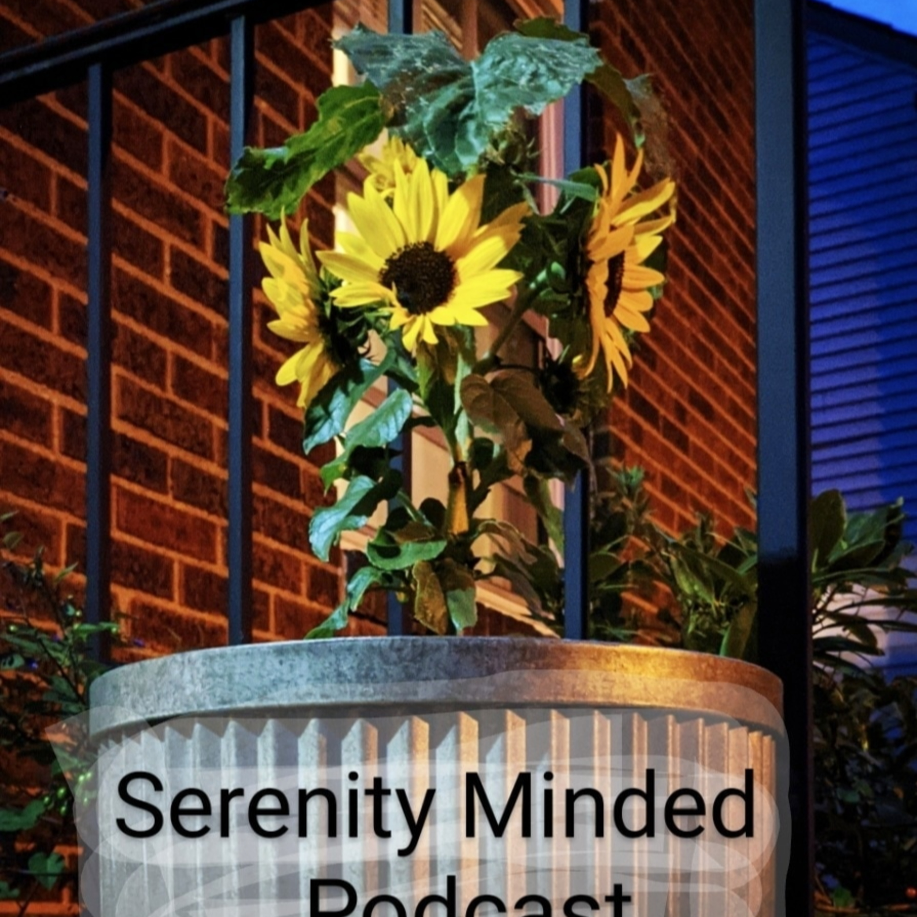 Serenity Minded
