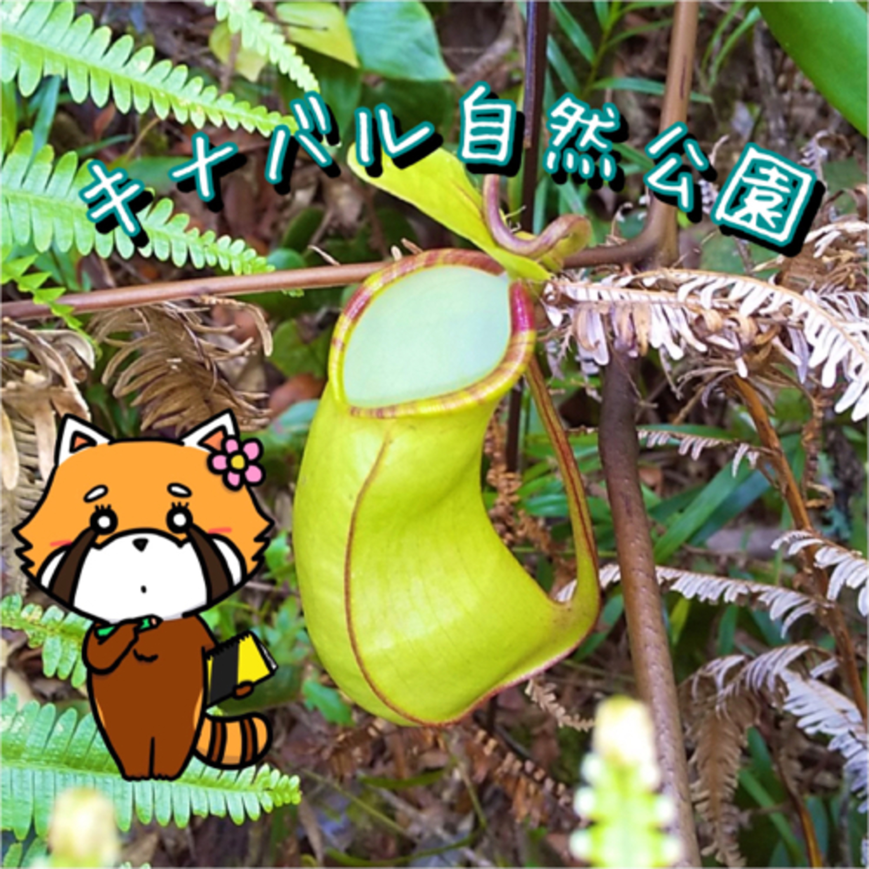 8月7日 待ち人来ず episode artwork
