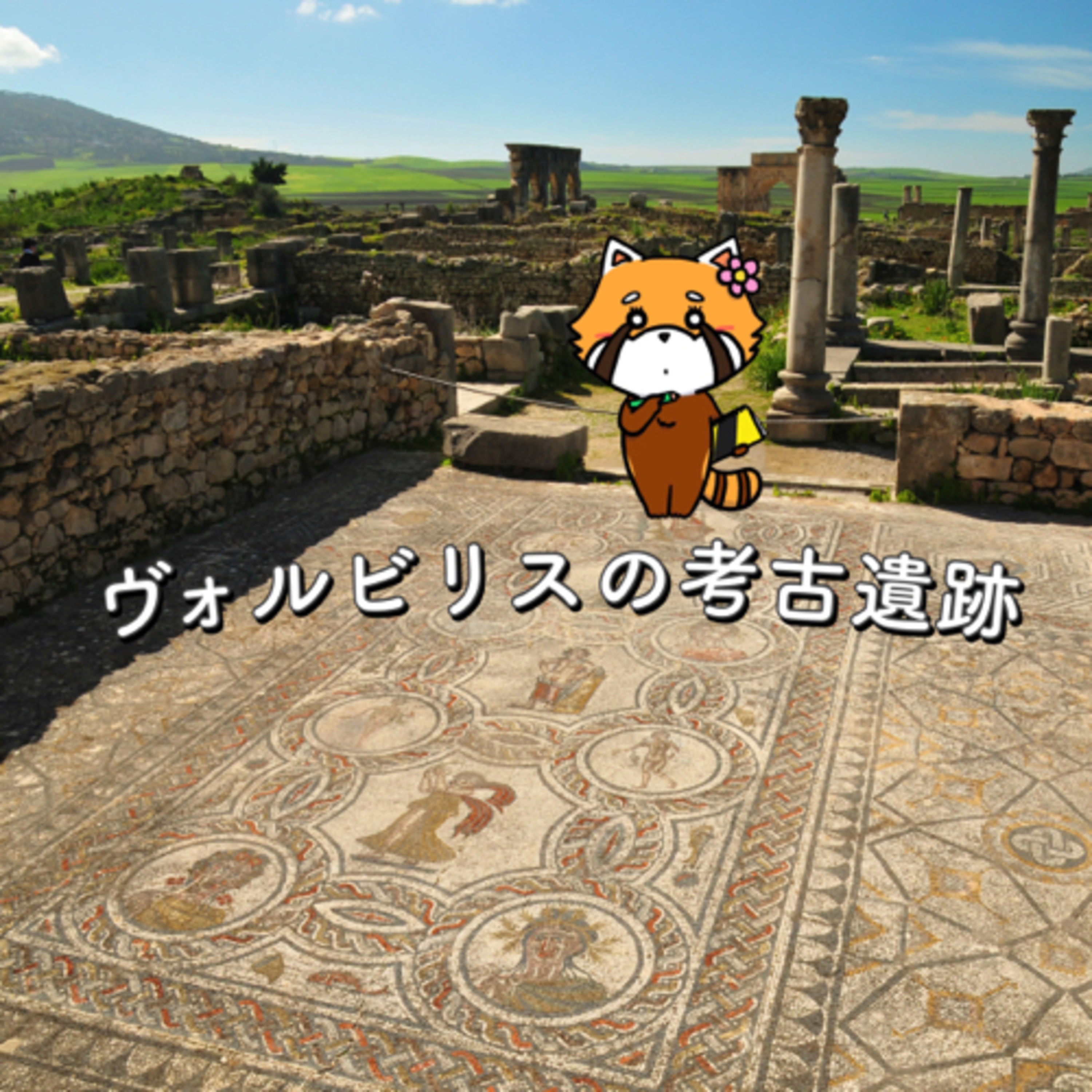 8月12日 遠目に見る episode artwork
