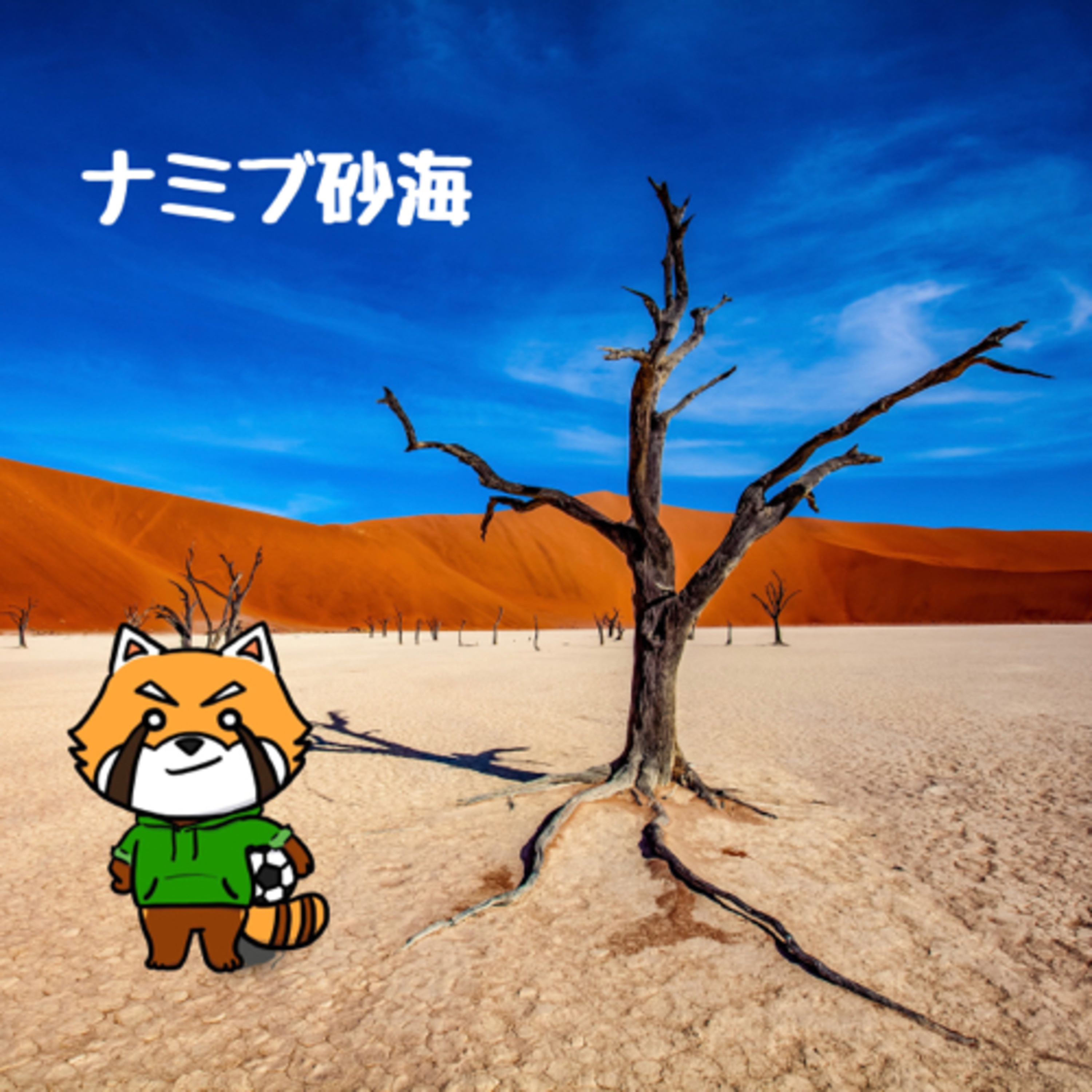 8月26日 無の境地 episode artwork