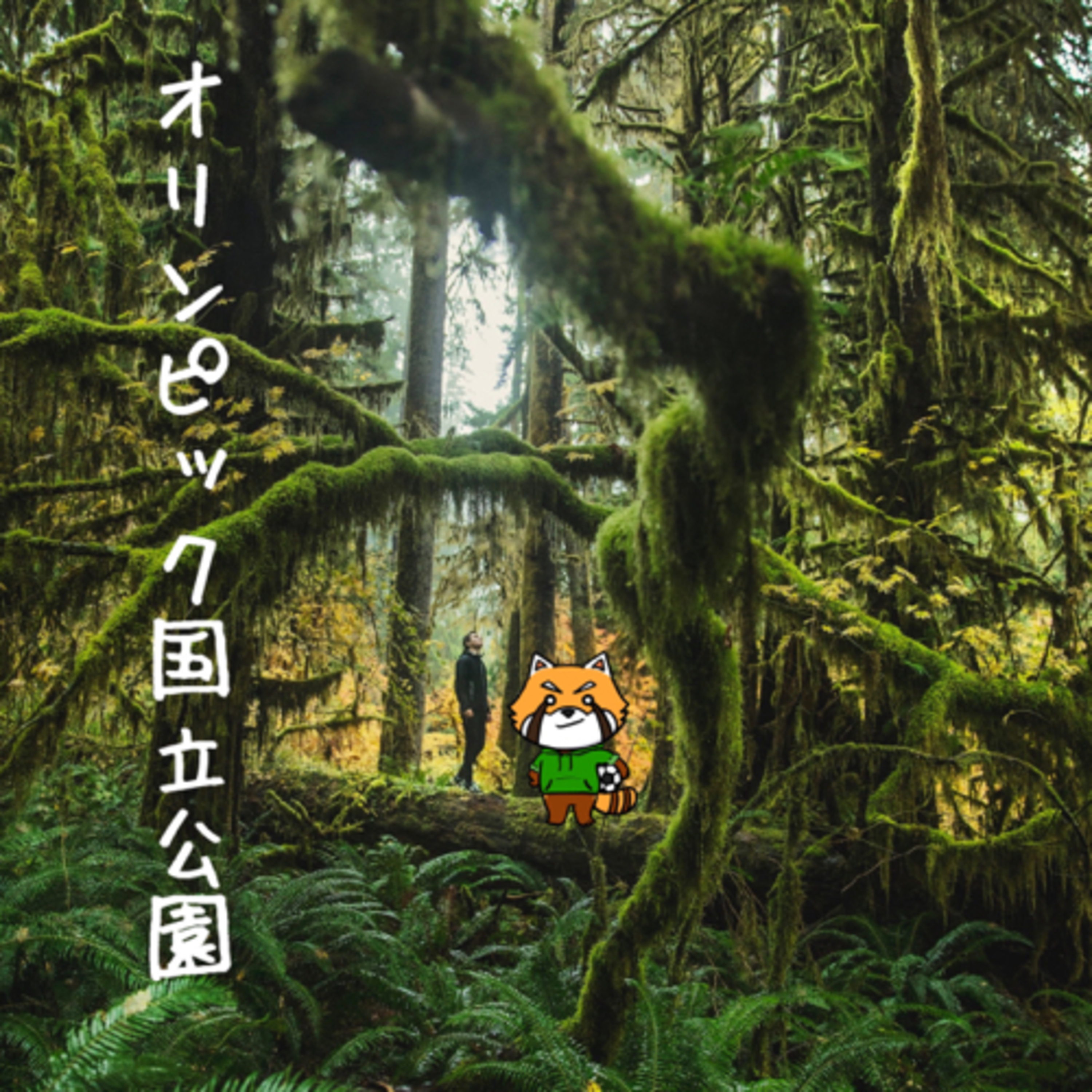 9月13日 ありのまま episode artwork