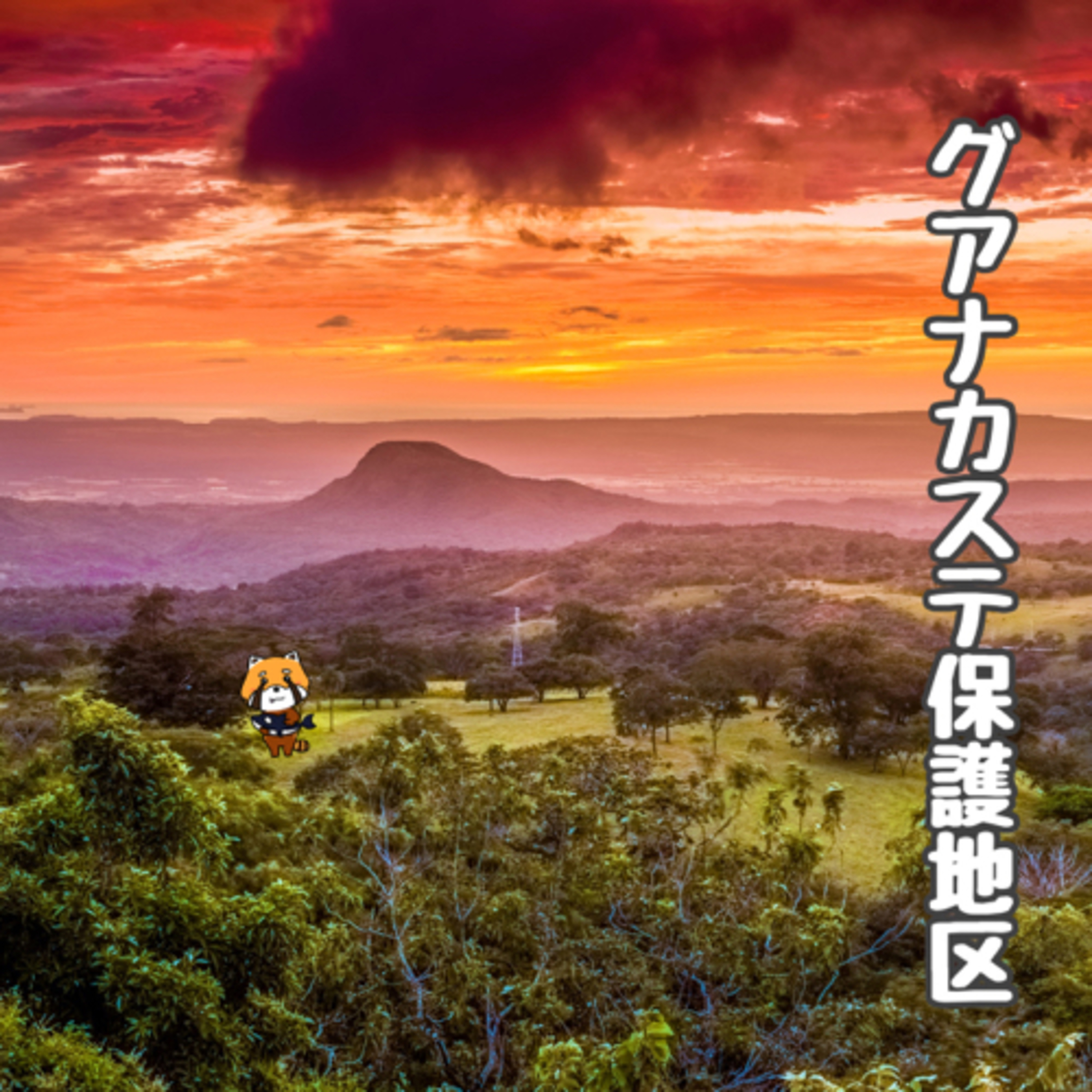 9月21日 進化する自然 episode artwork