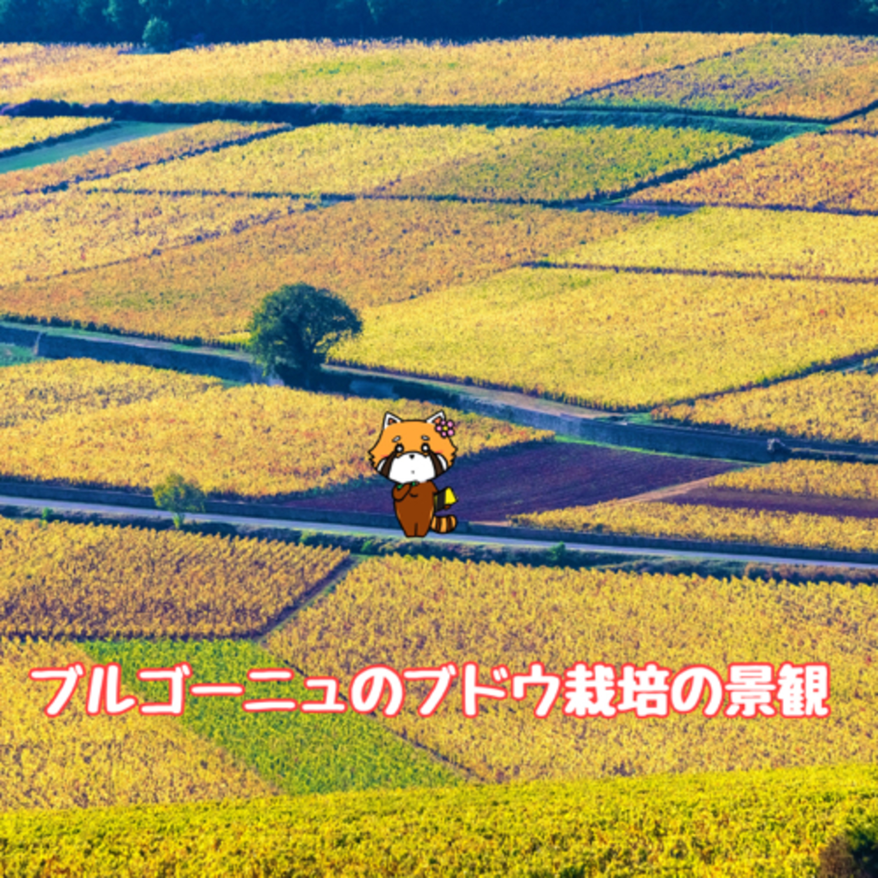 11月17日 手の届かない存在 episode artwork