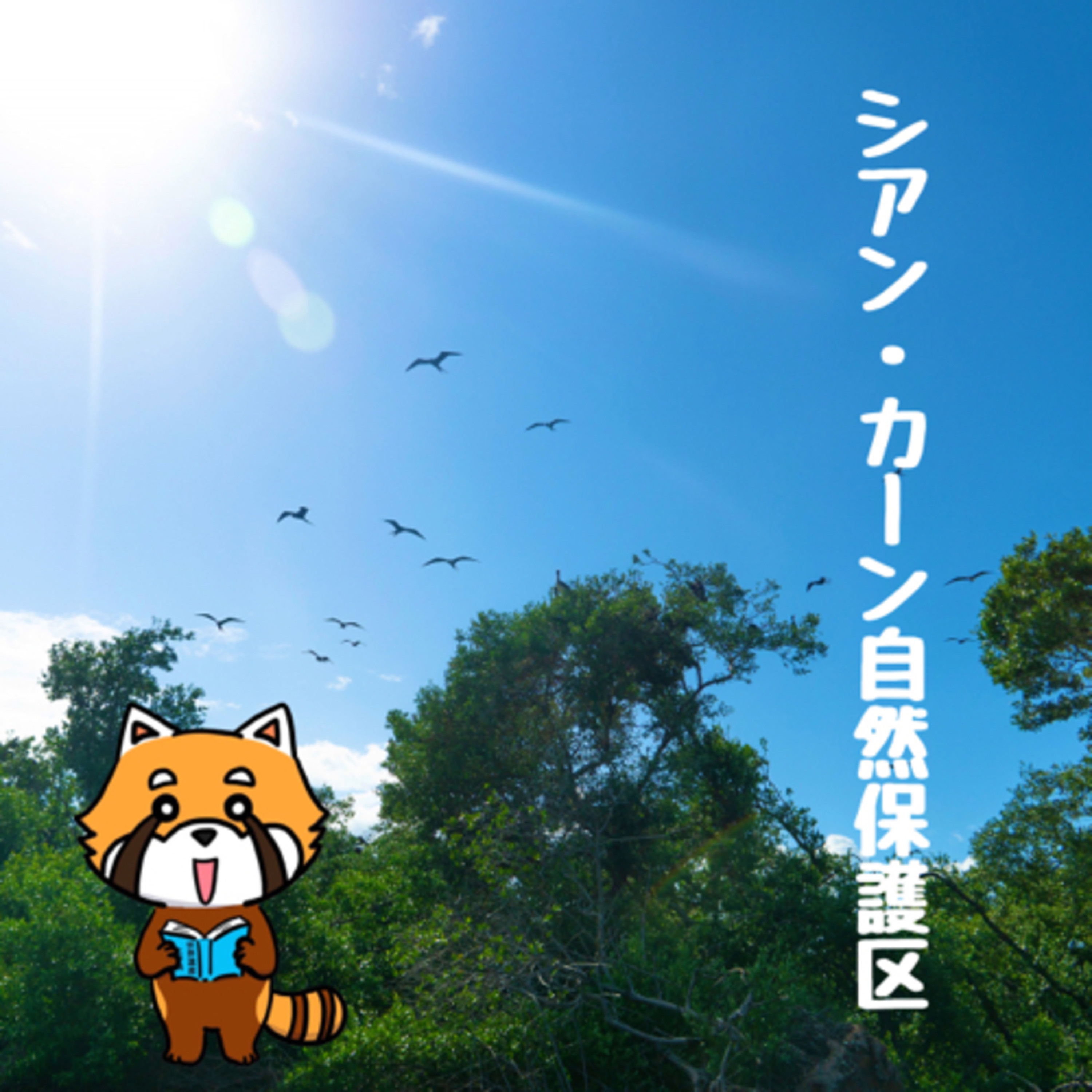 11月21日 始まりの場所 episode artwork