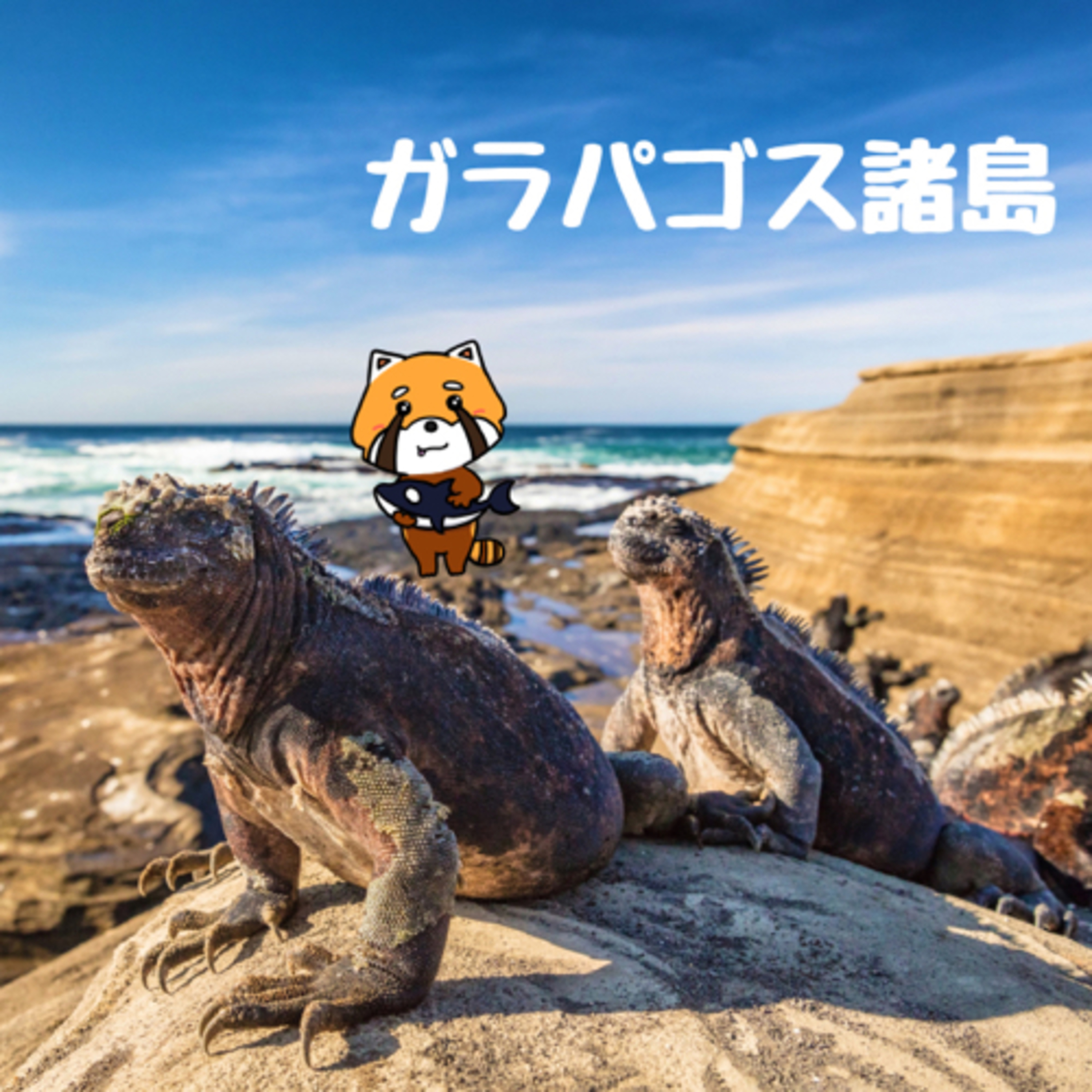 11月24日 閃きを与える episode artwork