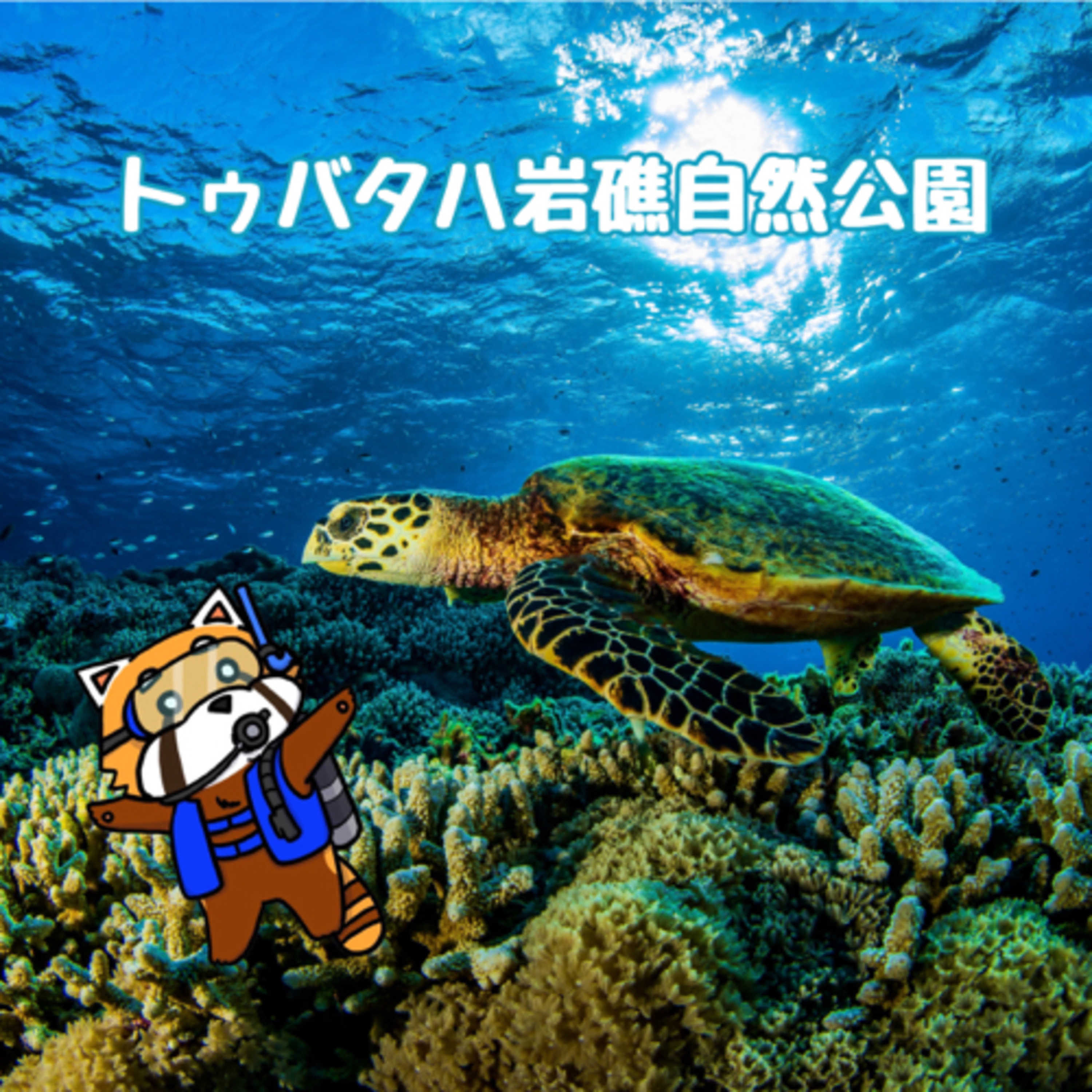 11月27日 恵まれた環境 episode artwork