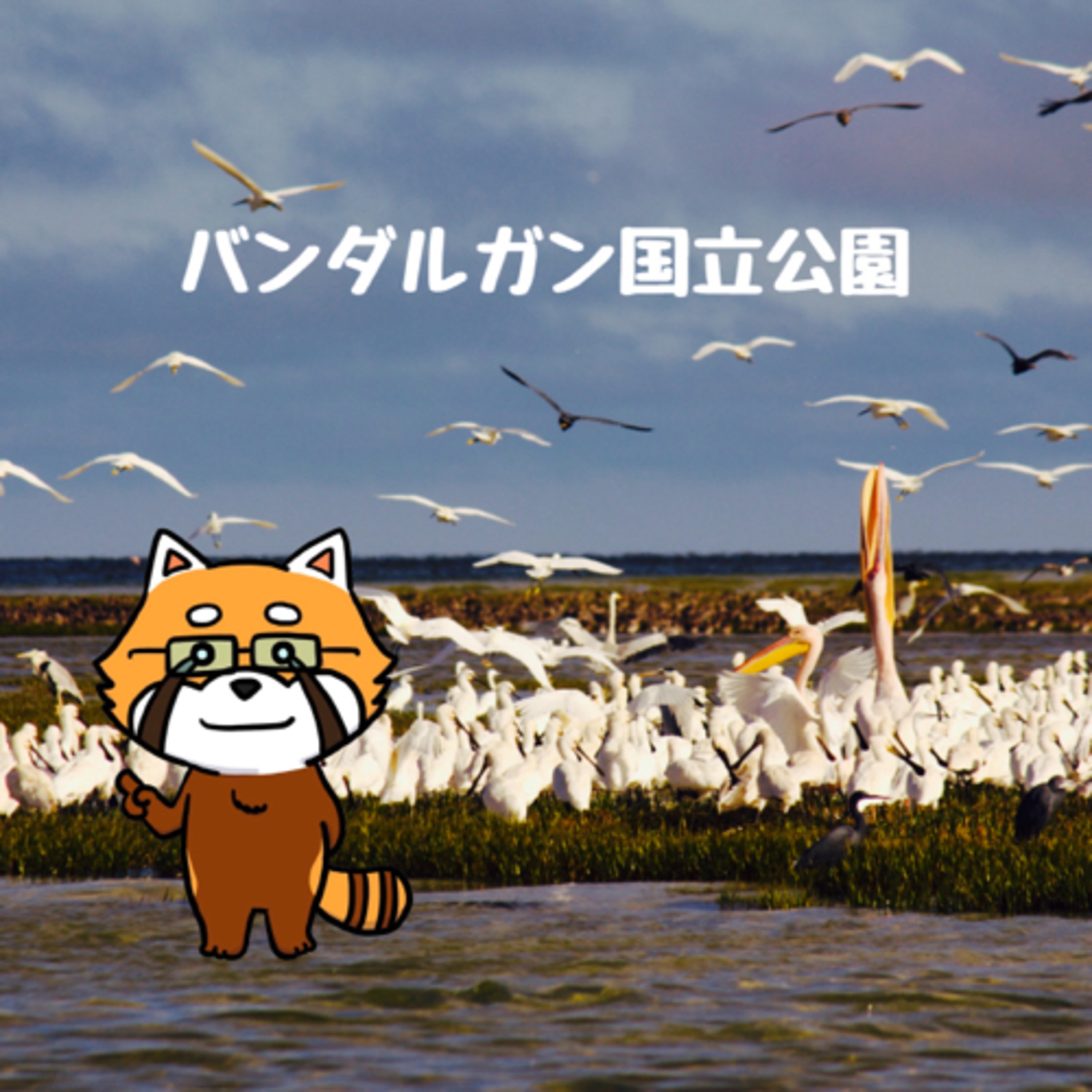 11月28日 理想的な関係 episode artwork