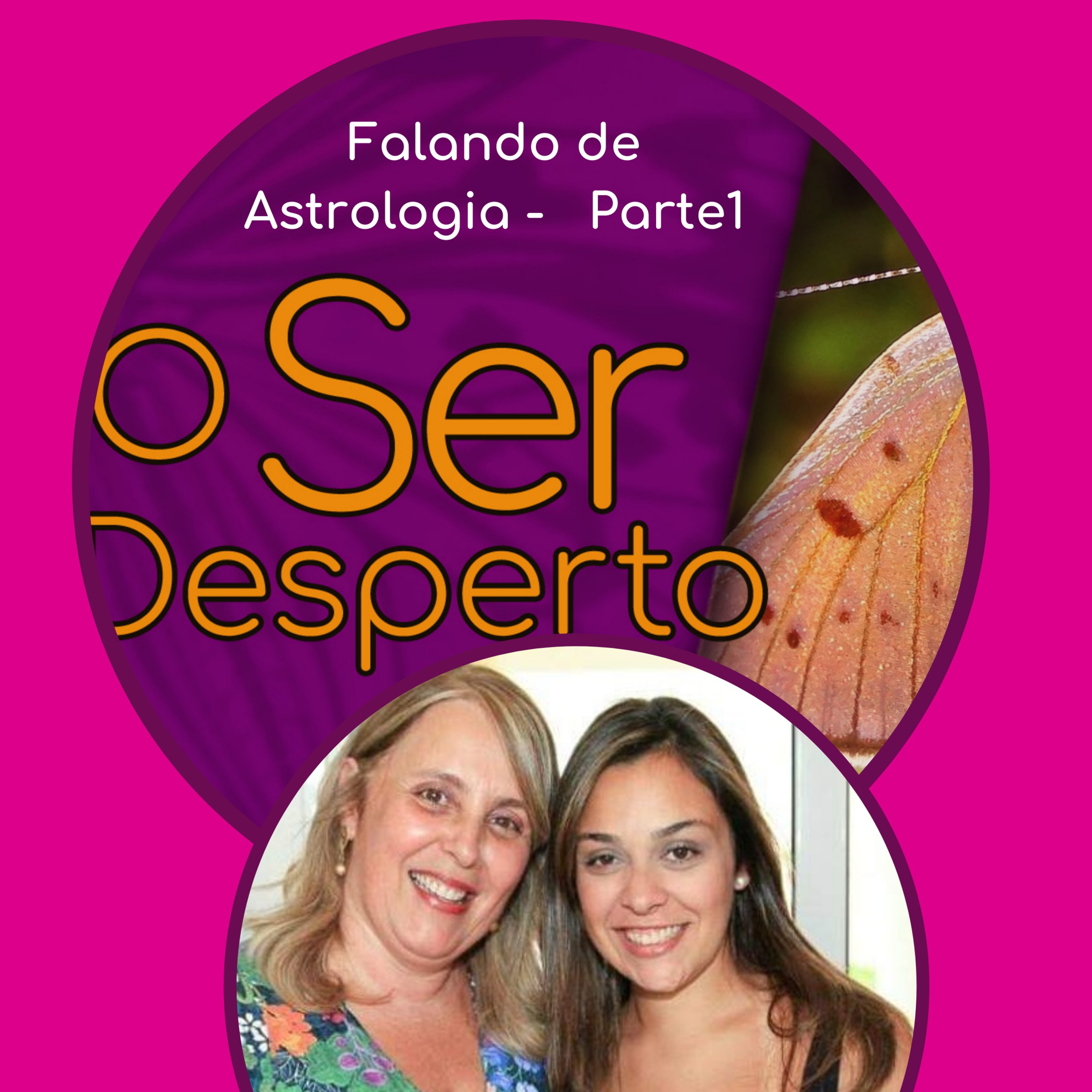 O Ser Desperto Reflexões E Conversas