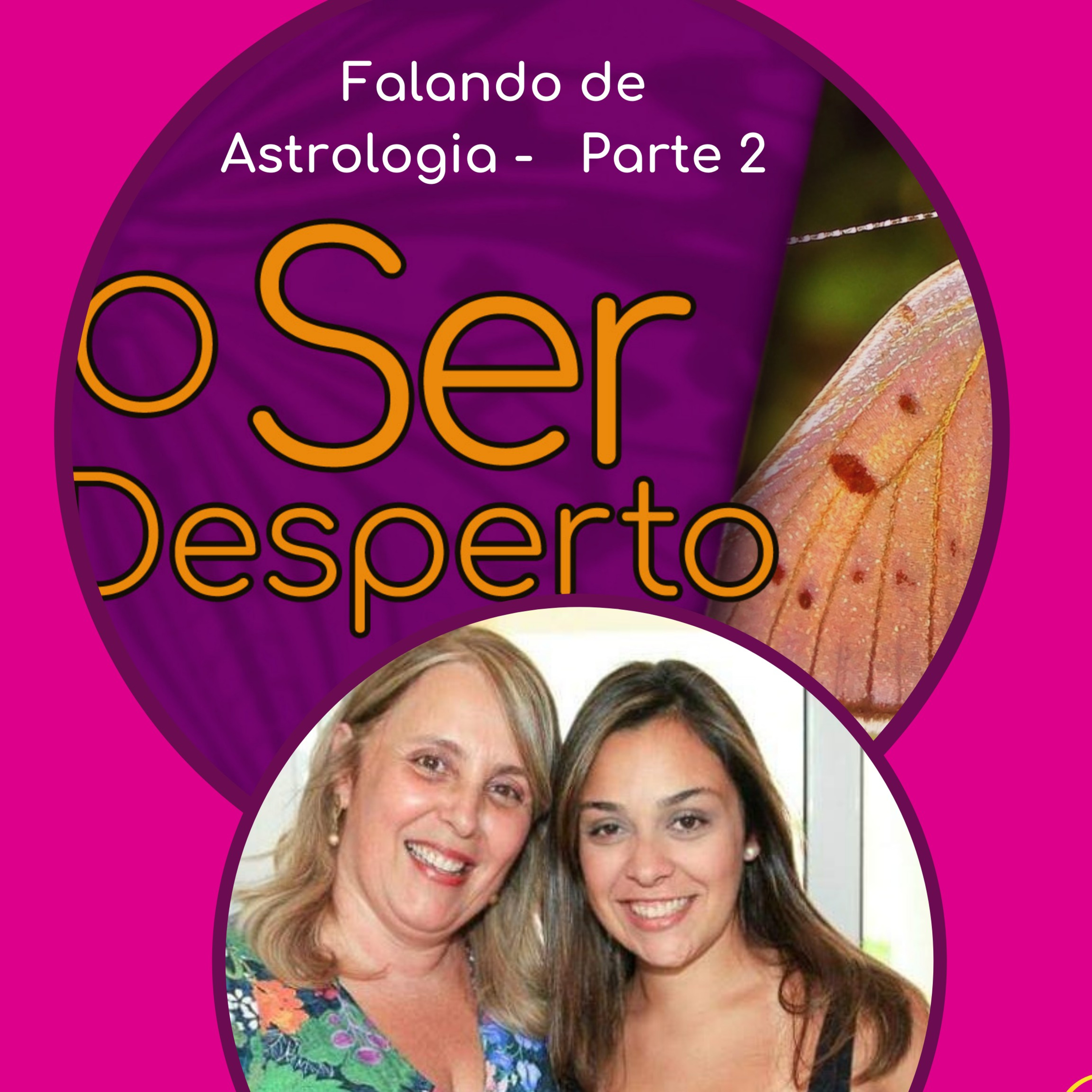 O Ser Desperto Reflexões E Conversas