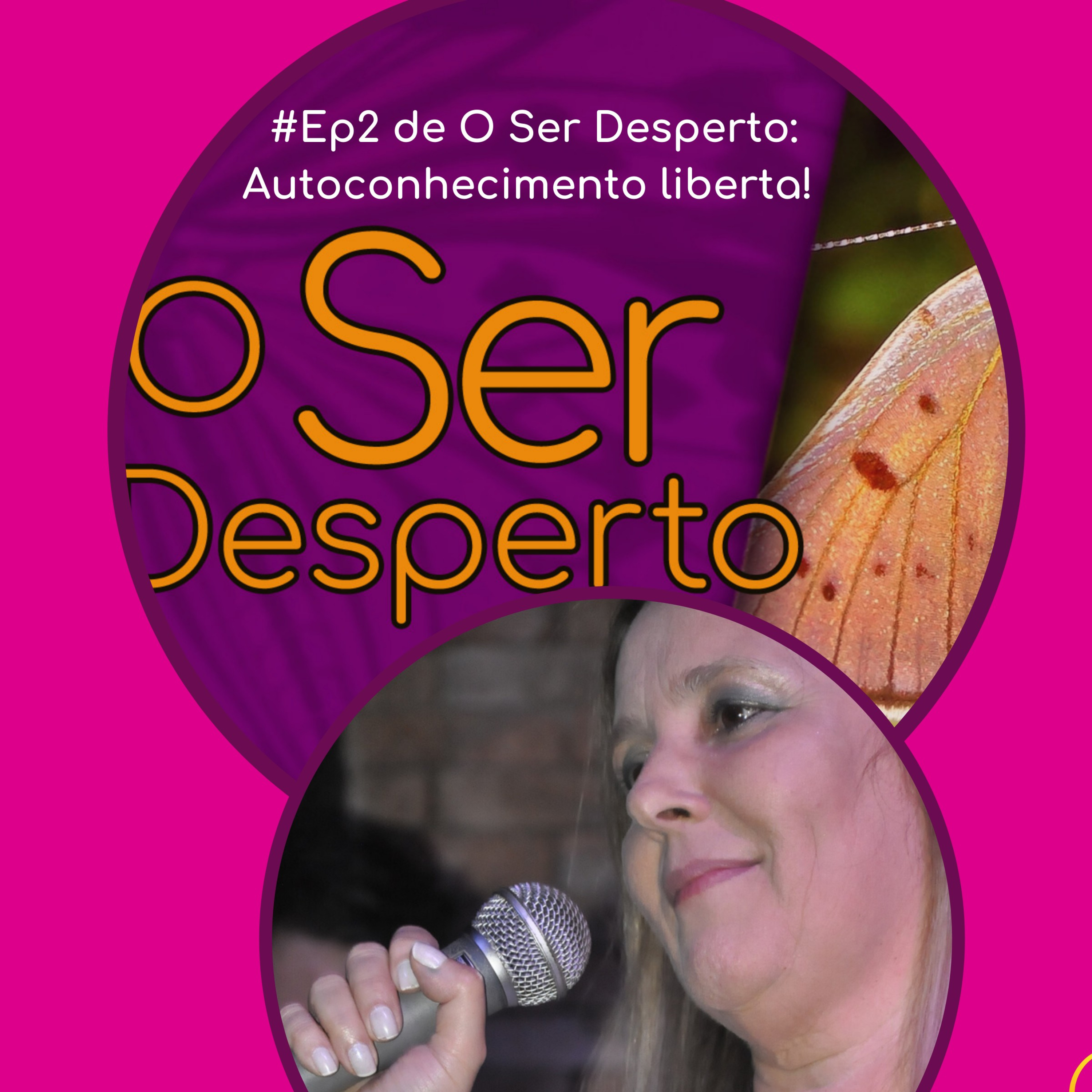 O Ser Desperto Reflexões E Conversas