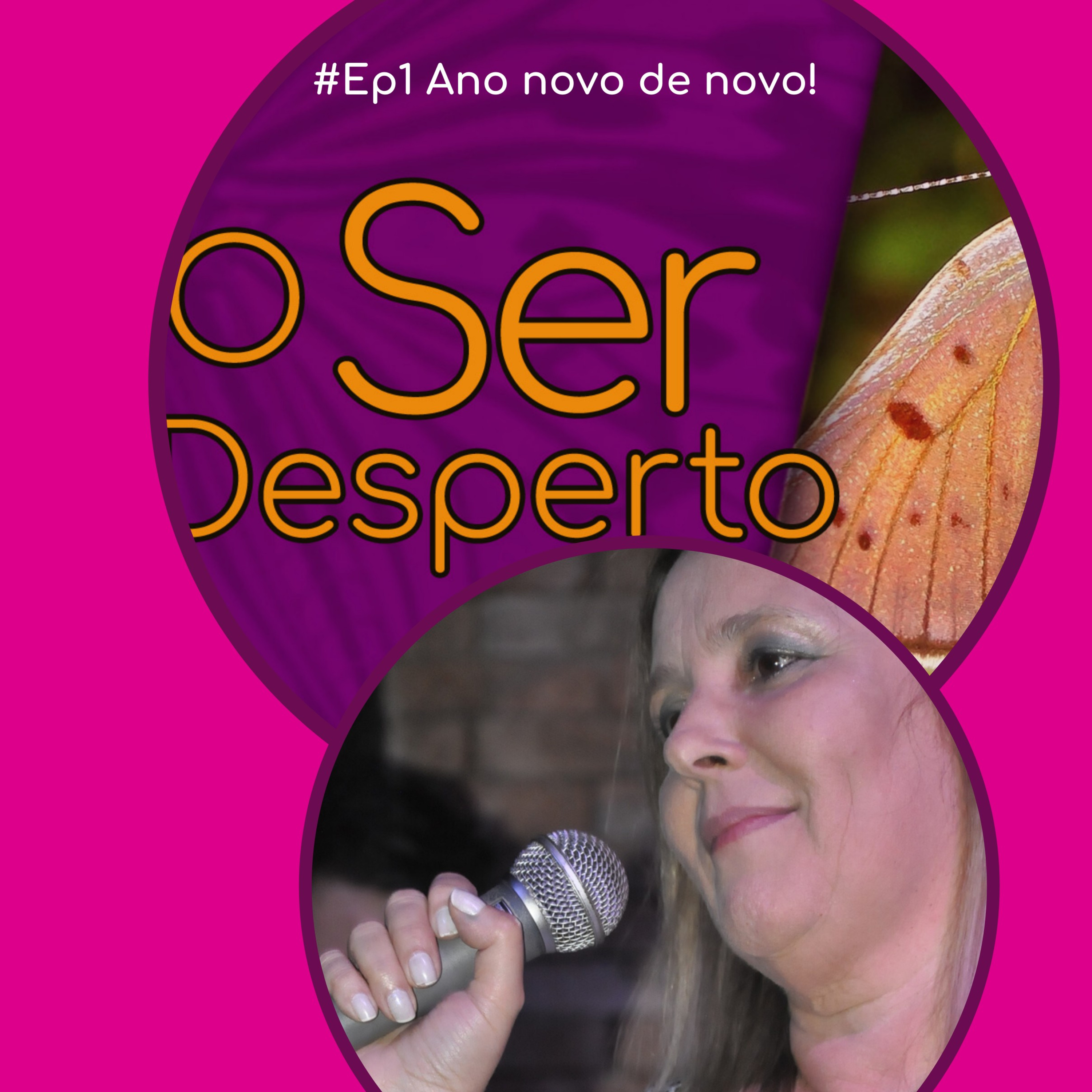 O Ser Desperto Reflexões E Conversas