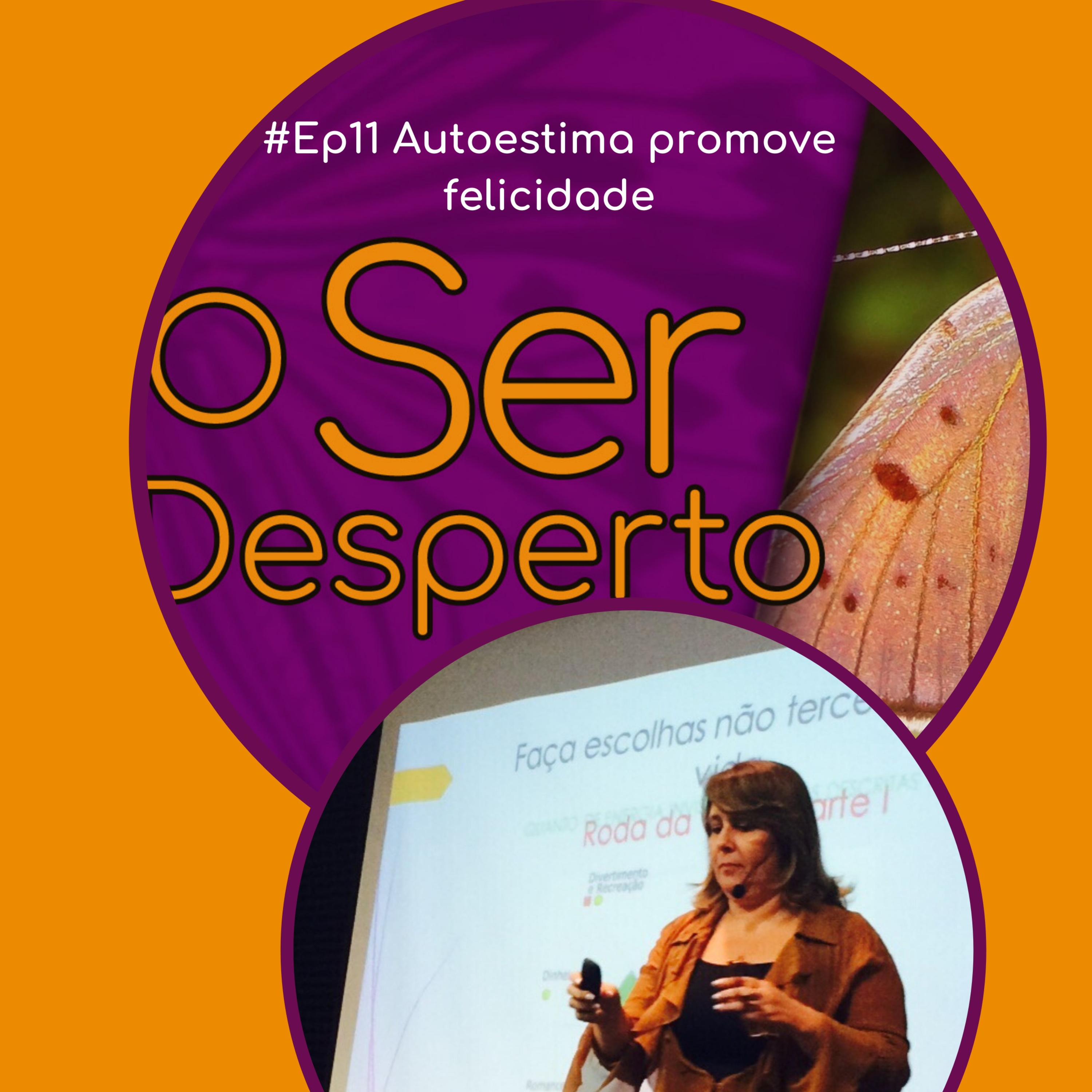 O Ser Desperto Reflexões E Conversas
