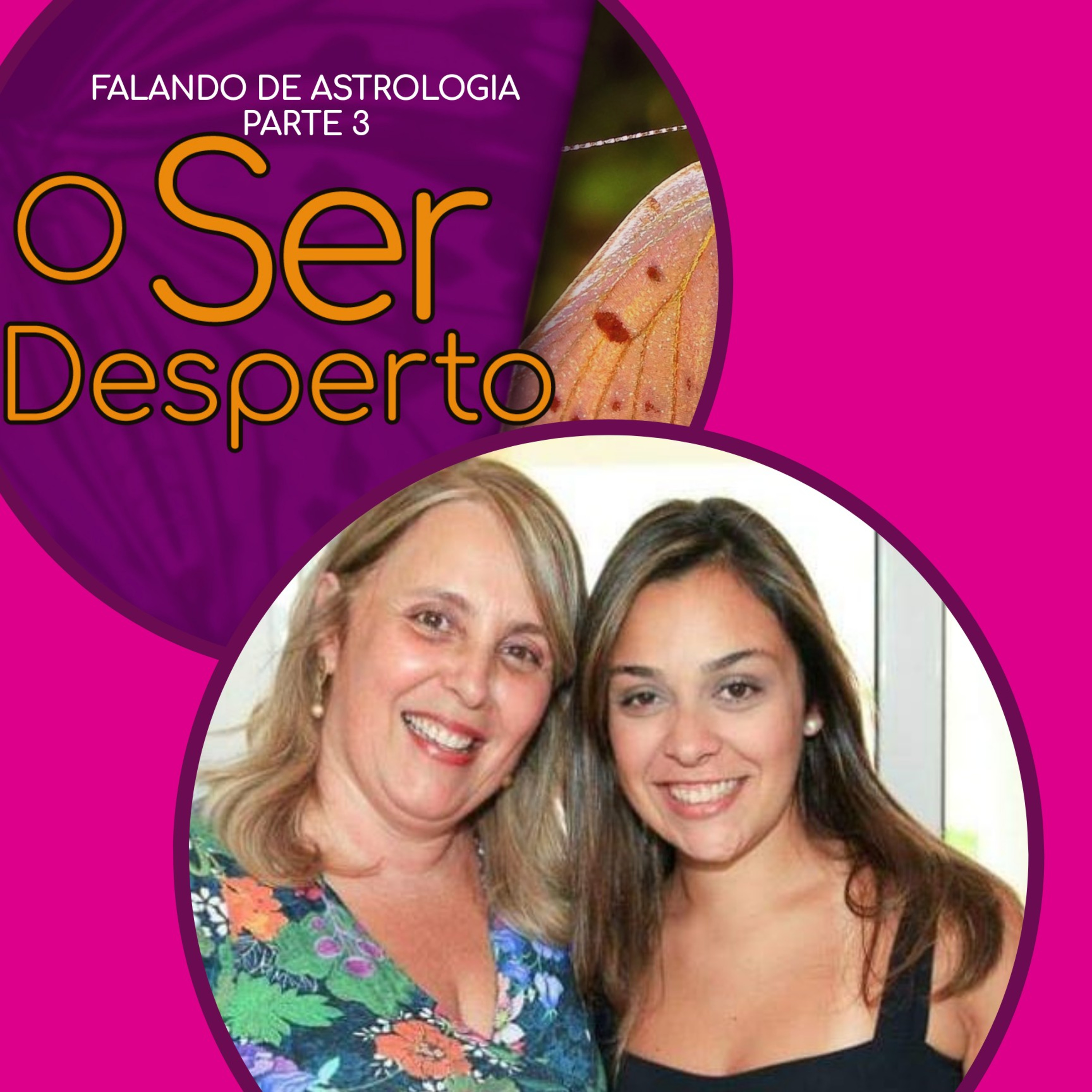 O Ser Desperto Reflexões E Conversas