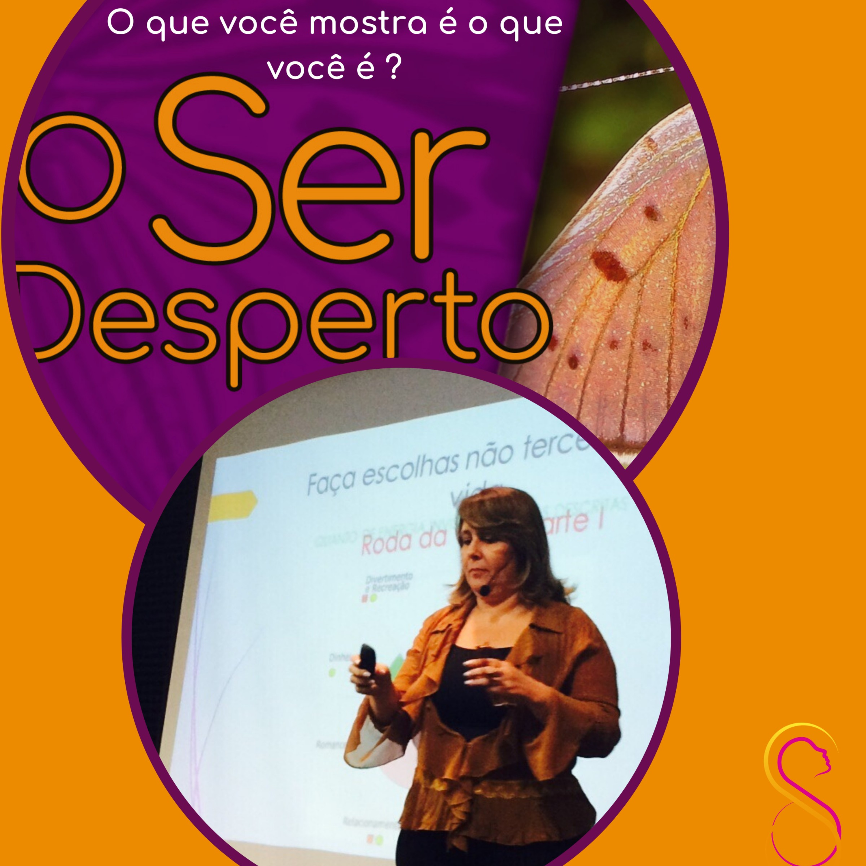 O Ser Desperto Reflexões E Conversas