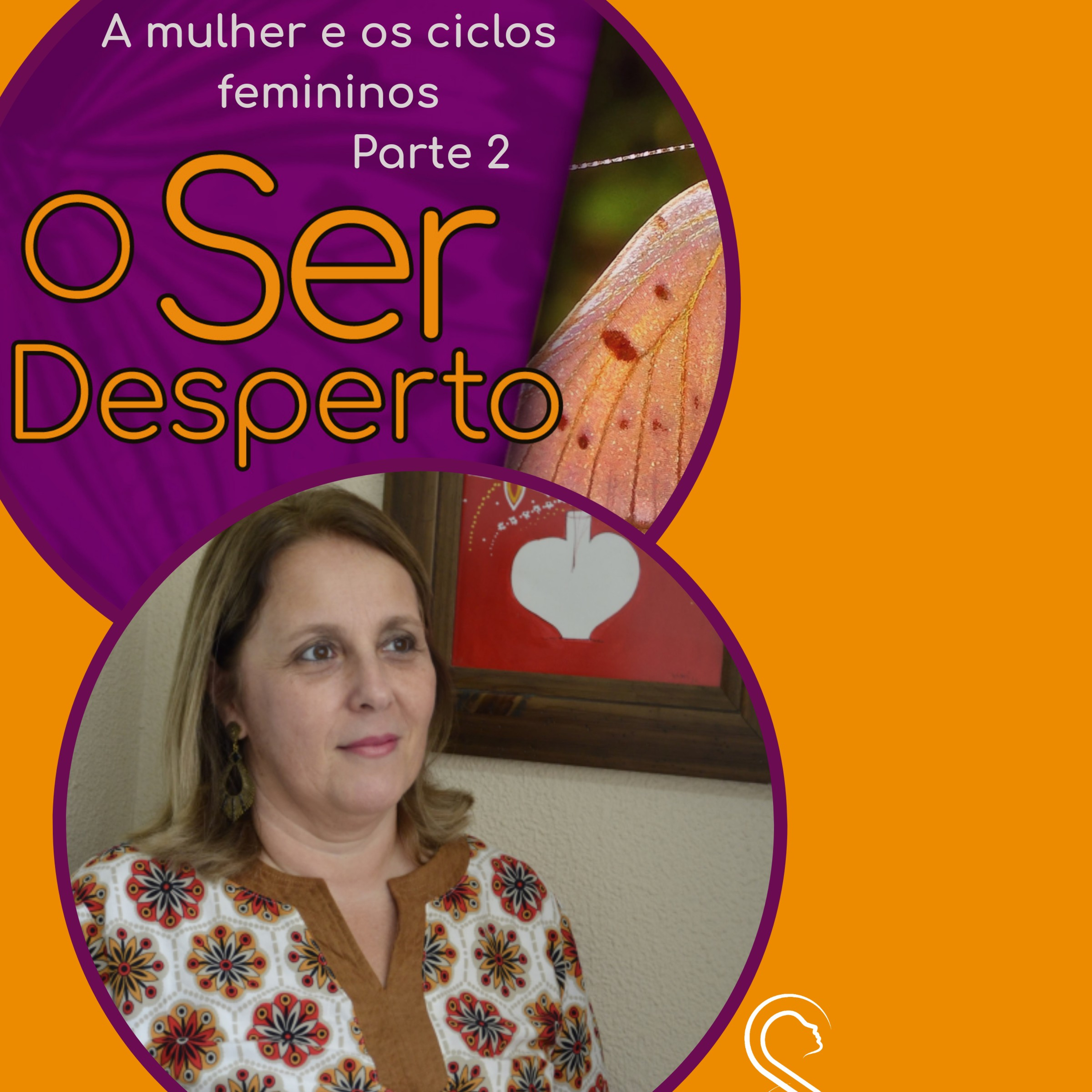 O Ser Desperto Reflexões E Conversas