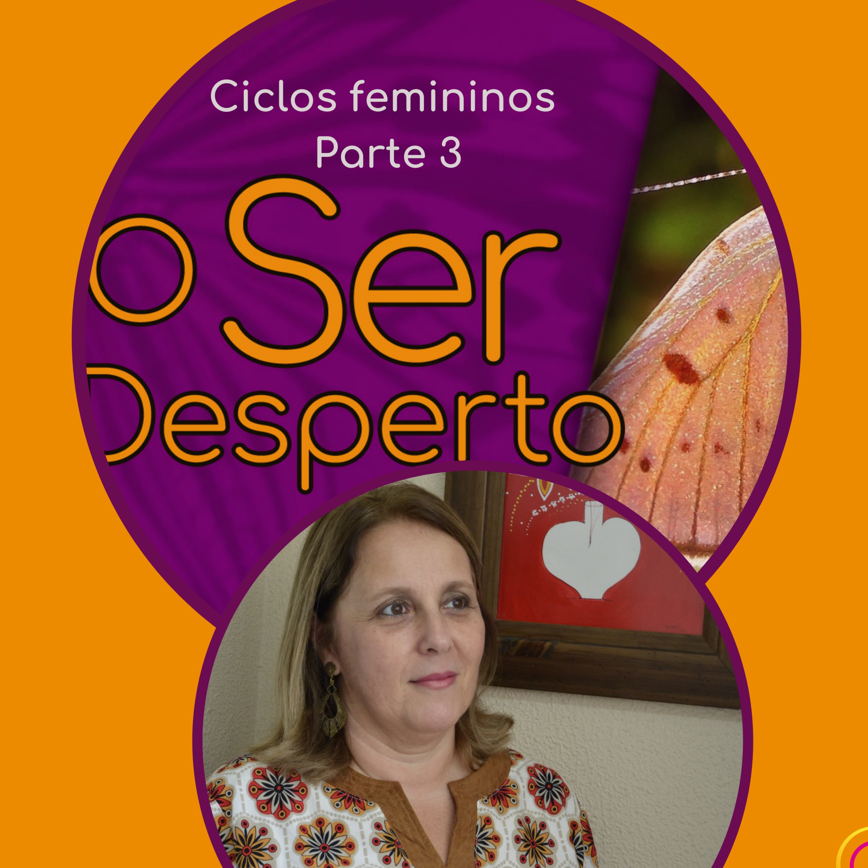 O Ser Desperto Reflexões E Conversas