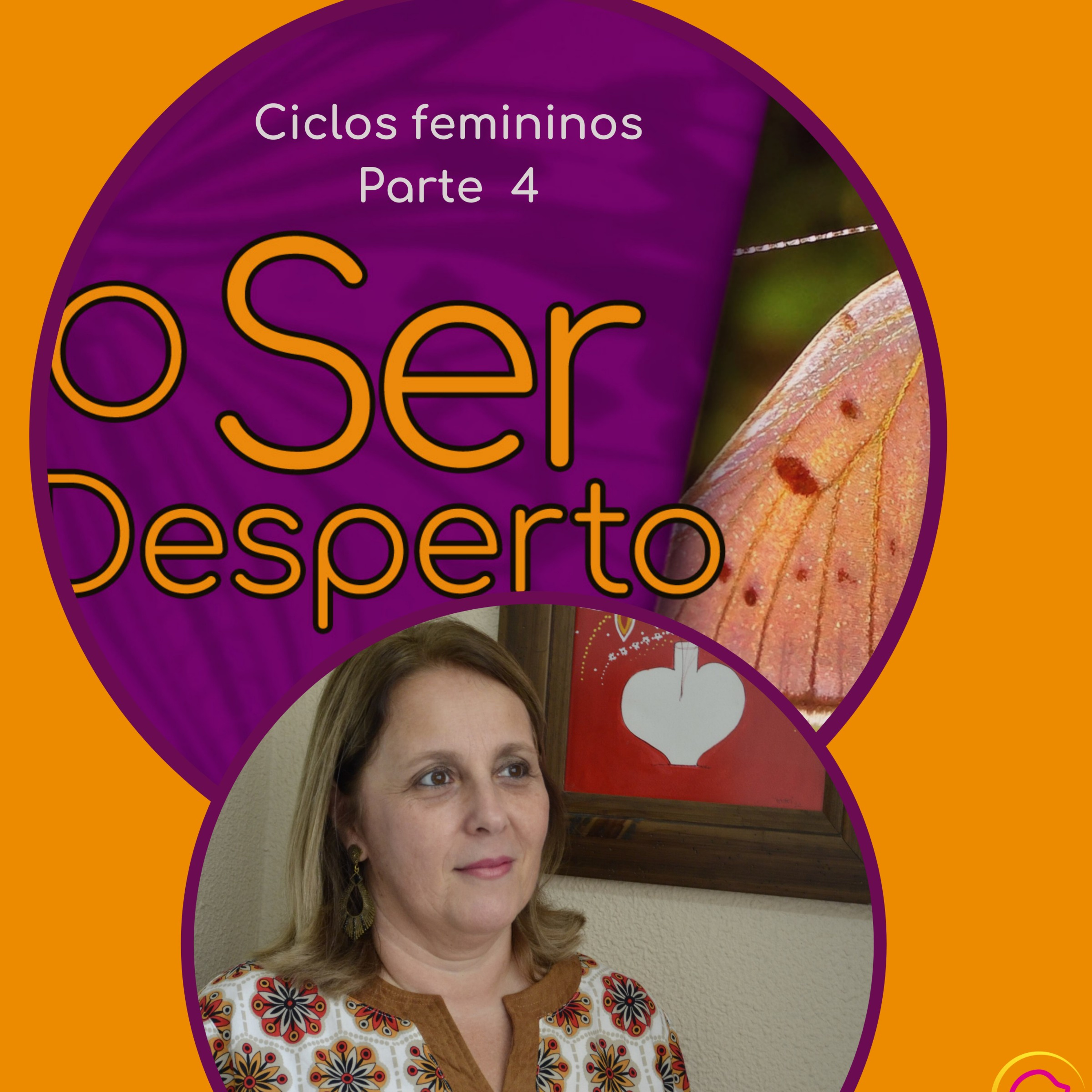 O Ser Desperto Reflexões E Conversas