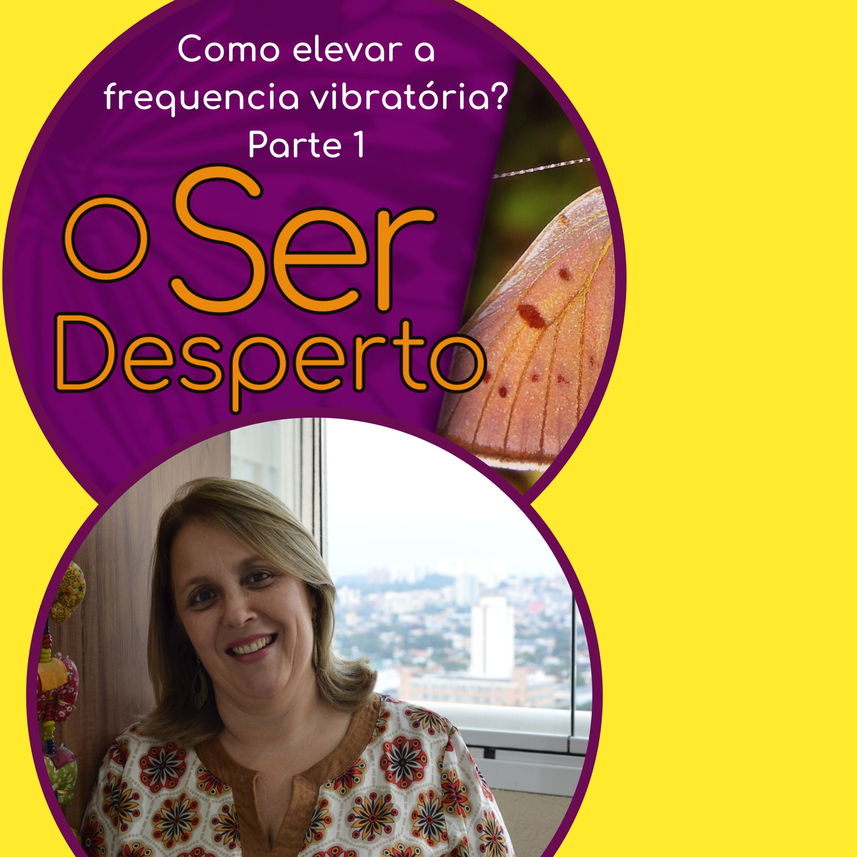 O Ser Desperto Reflexões E Conversas