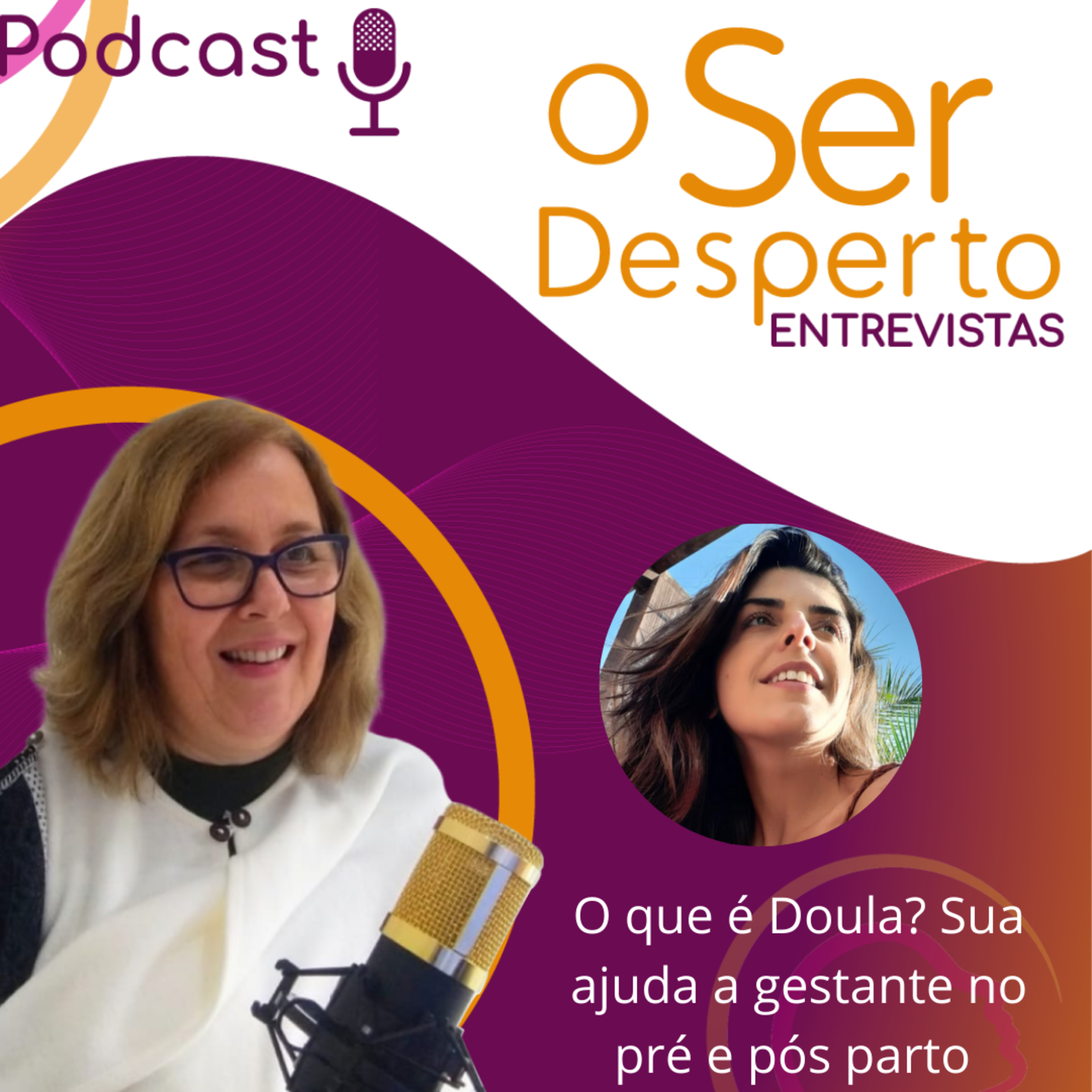 O Ser Desperto Reflexões E Conversas