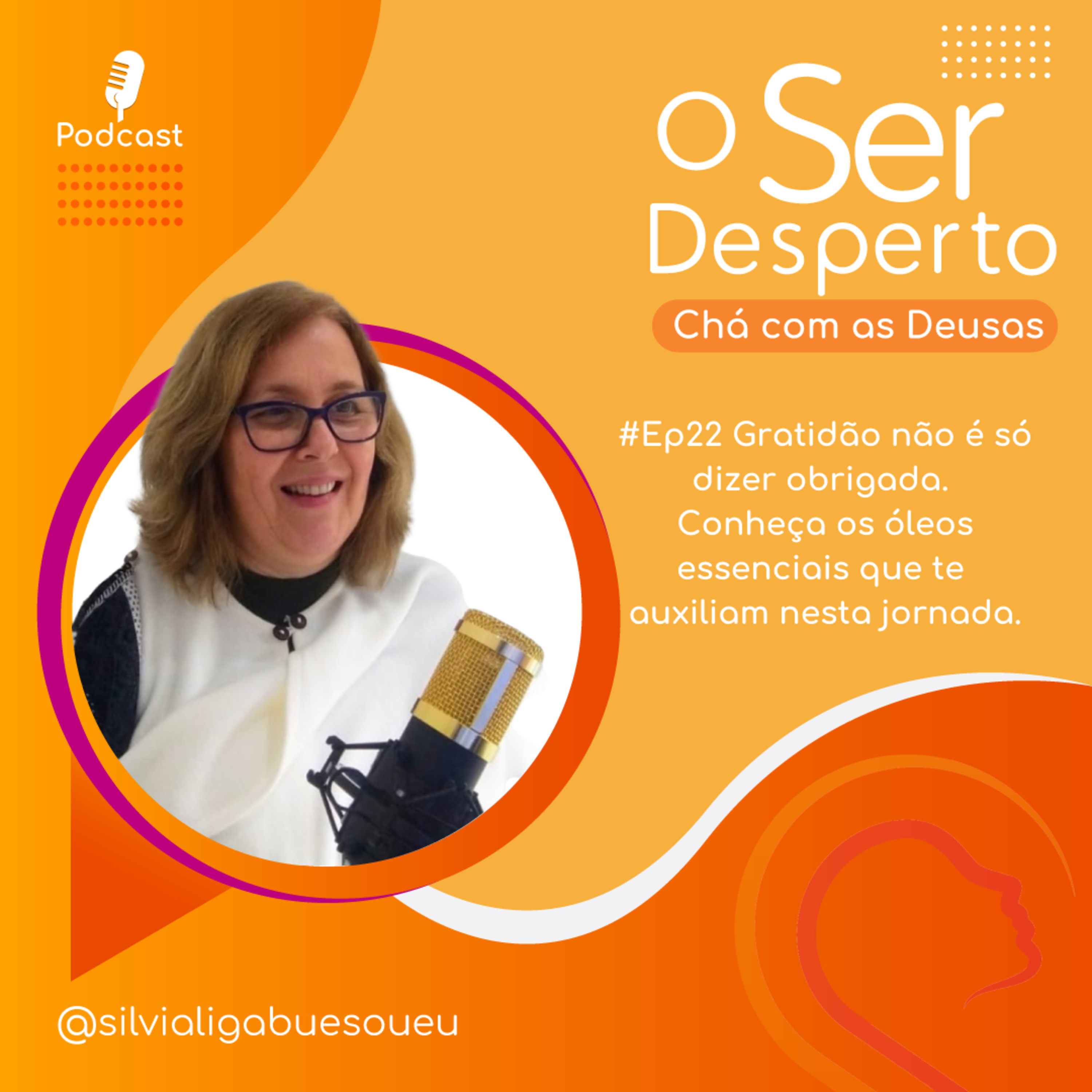 O Ser Desperto Reflexões E Conversas