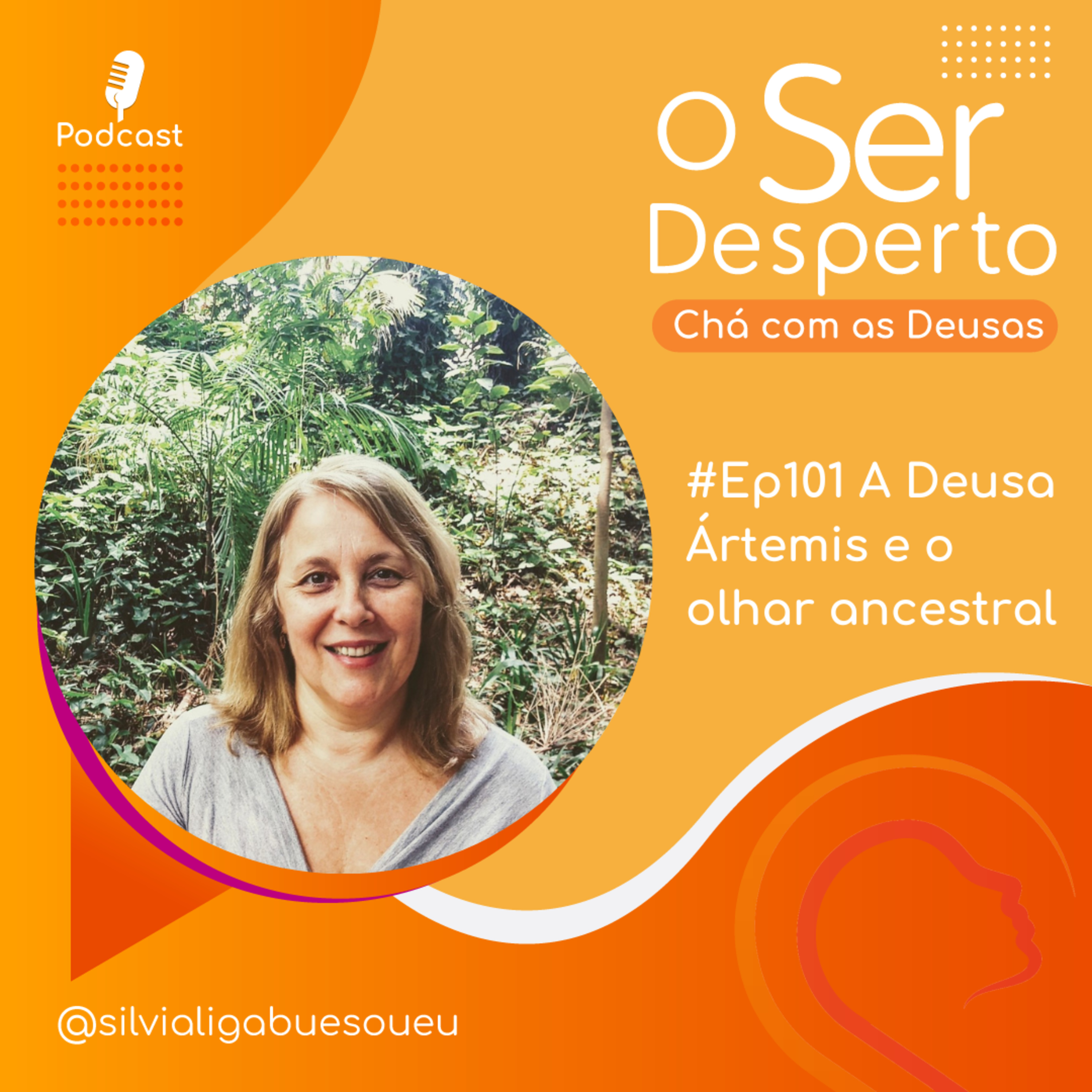 O Ser Desperto Reflexões E Conversas
