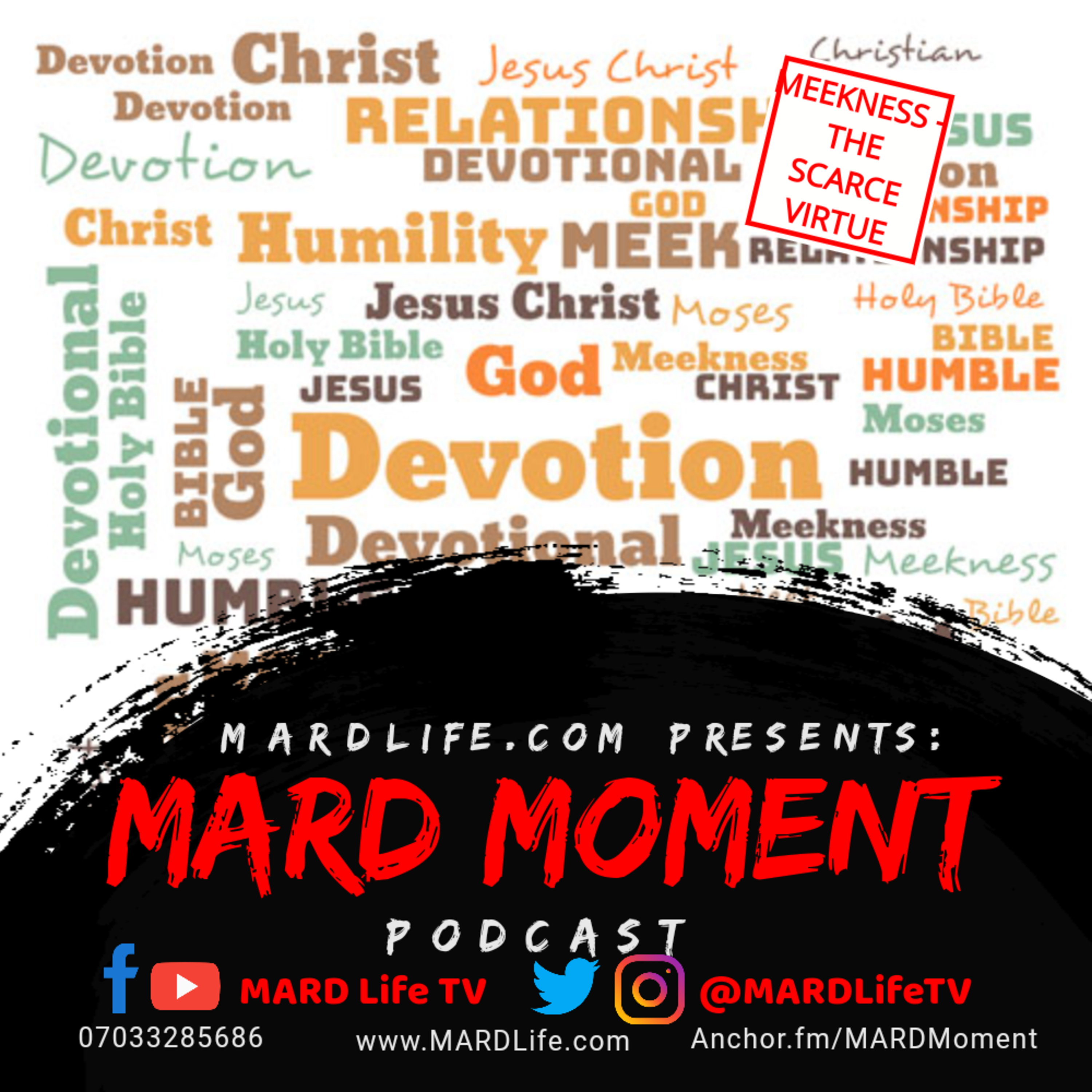 MEEKNESS – THE SCARCE VIRTUE