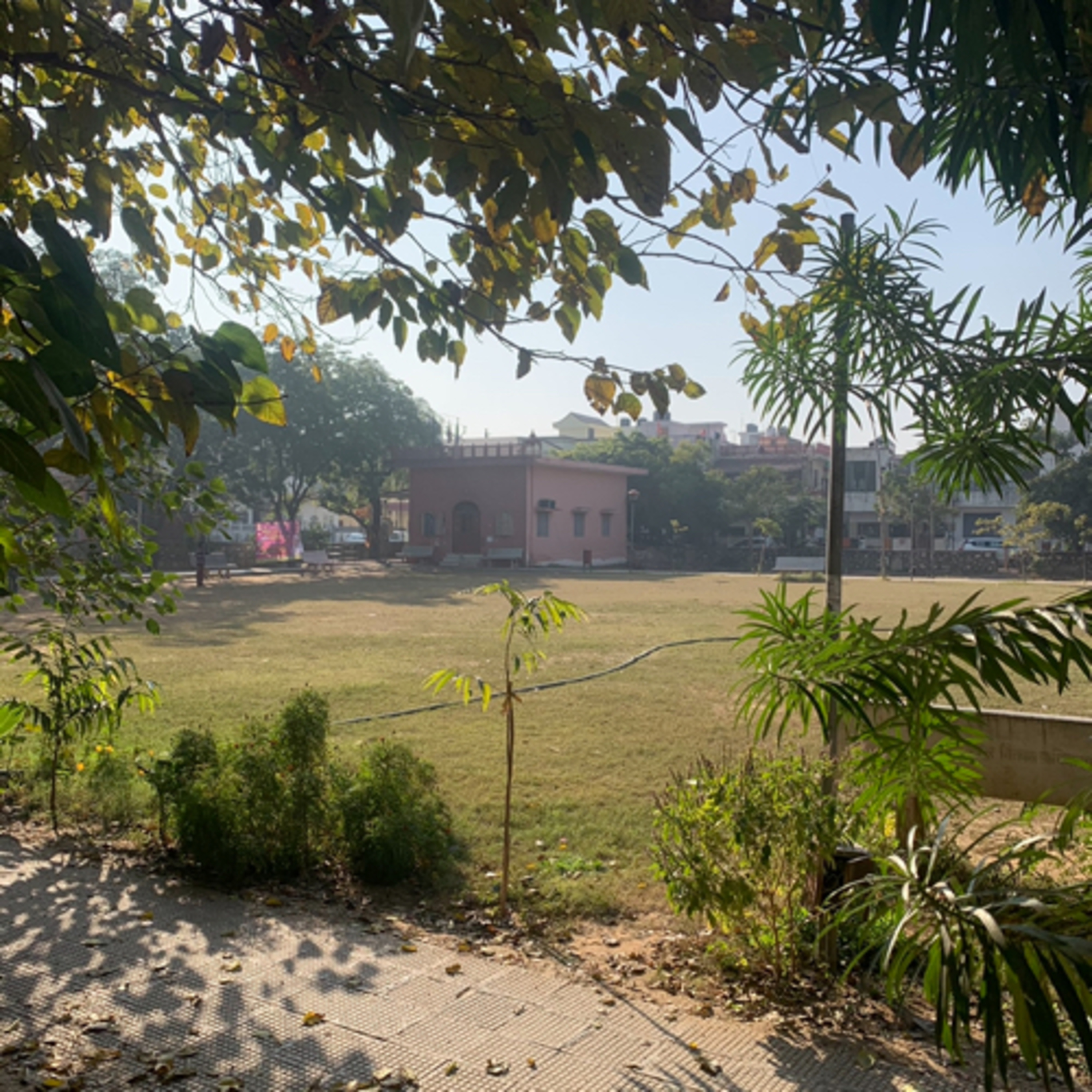 24 Lafz