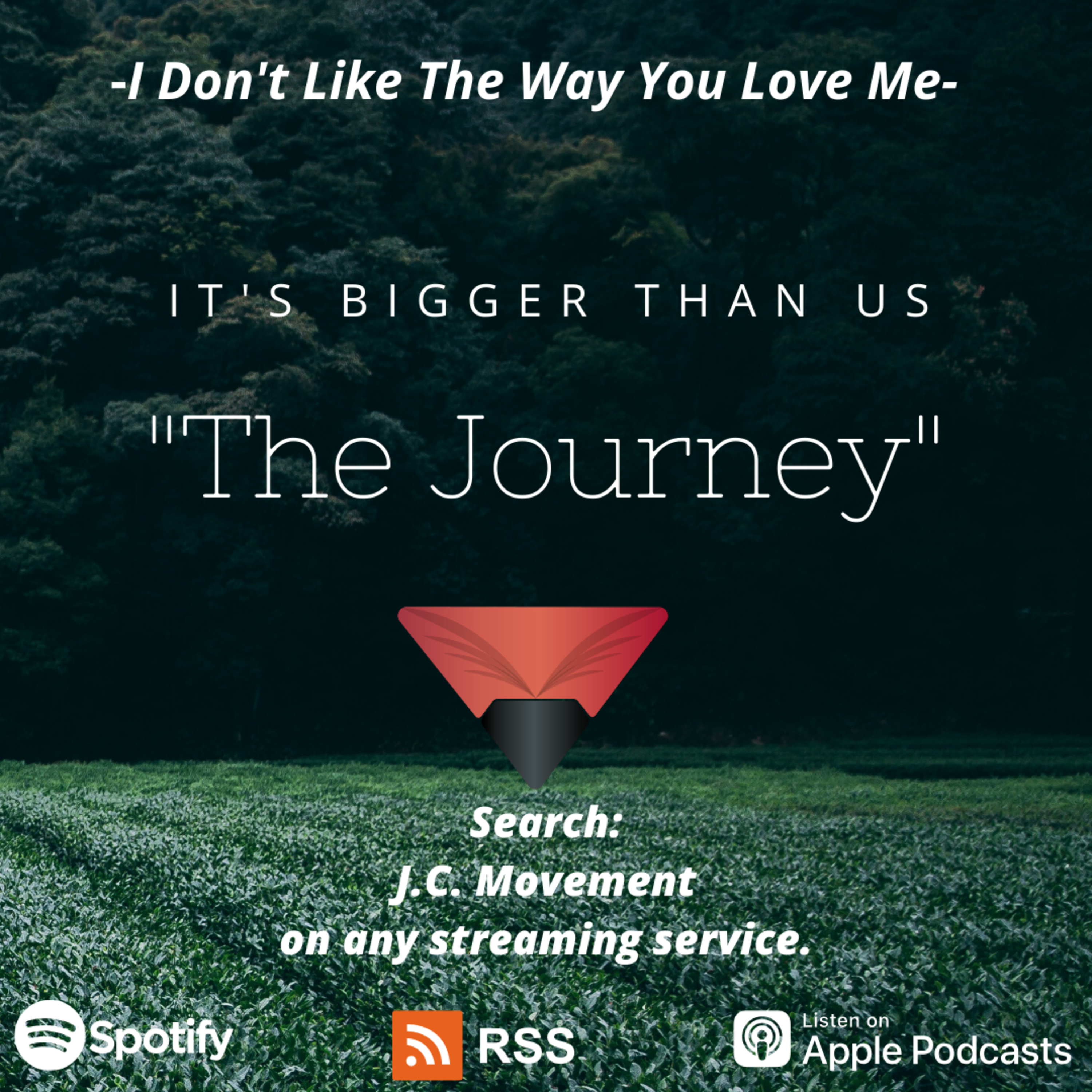 " I Don't Like The Way You Love Me''