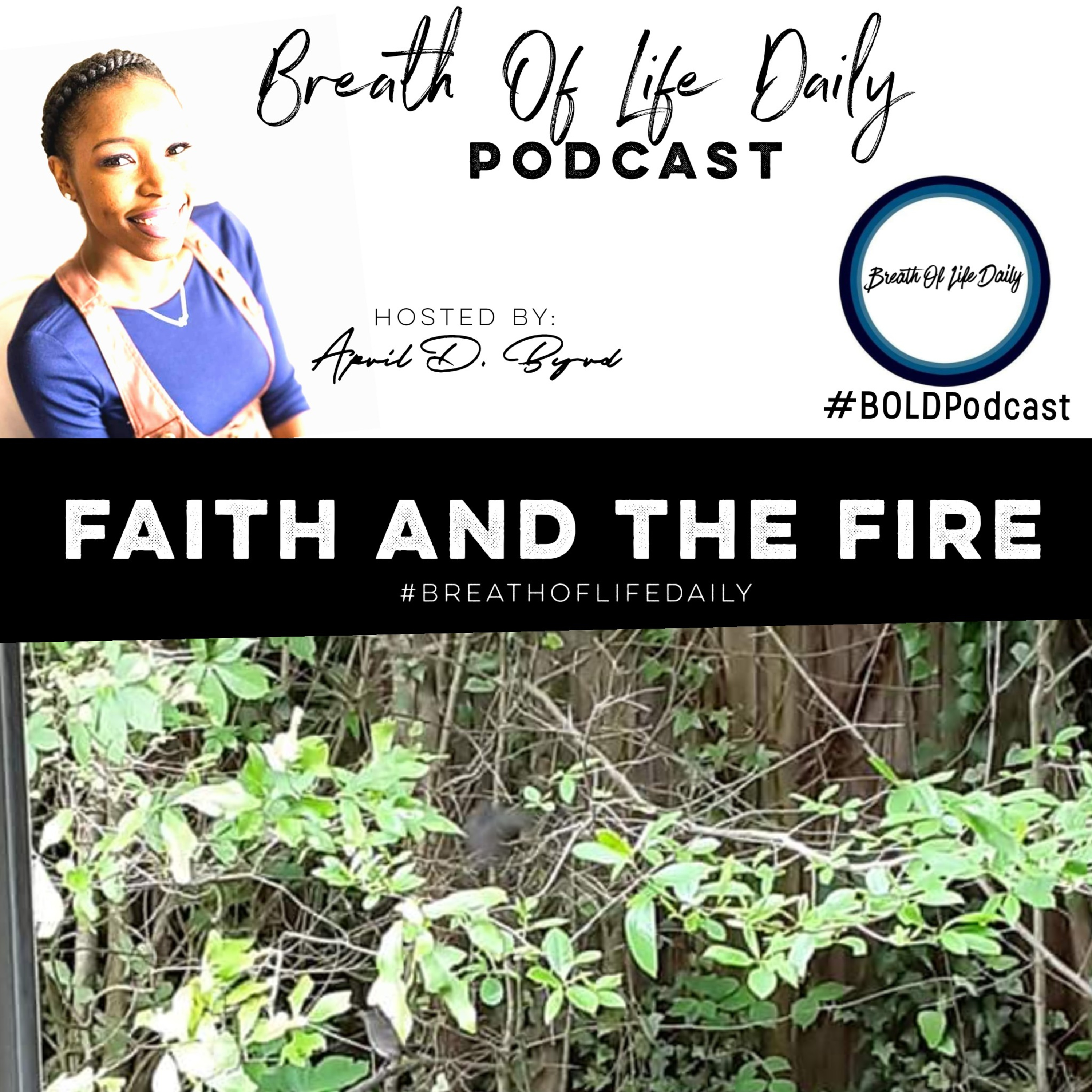 Breath Of Life Daily