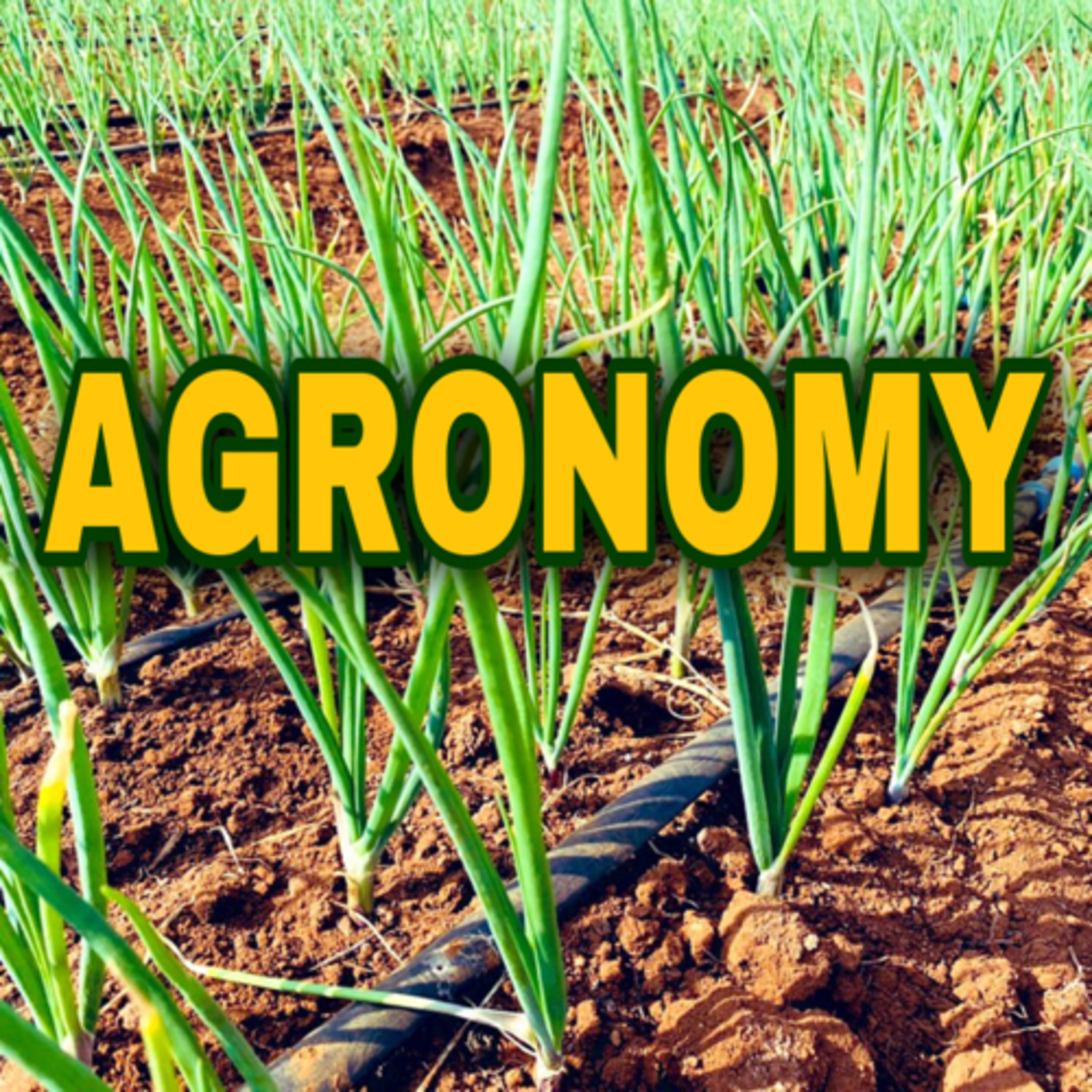 The Jobless Agronomist