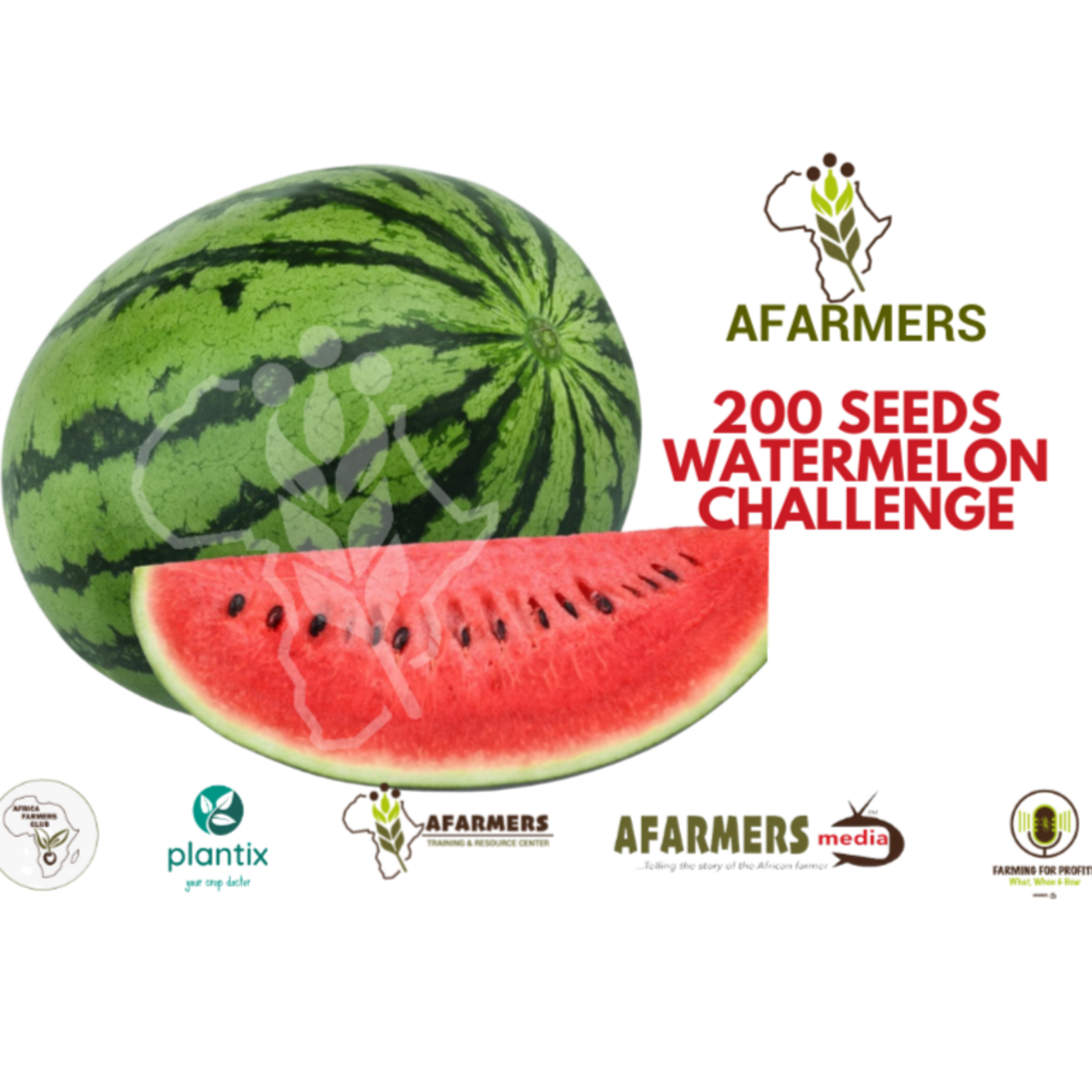 Watermelon Challenge episode artwork