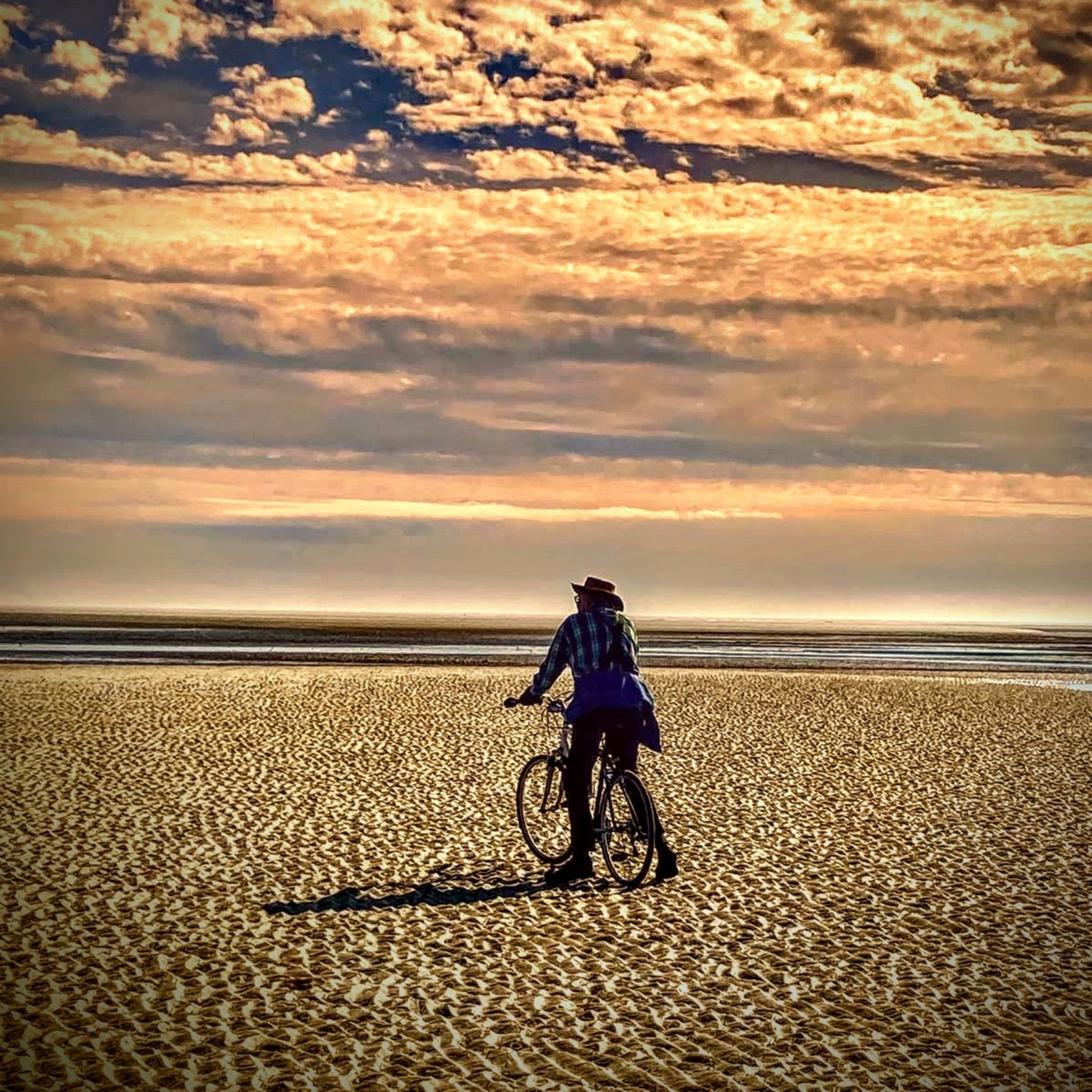 Dover Beach  episode artwork