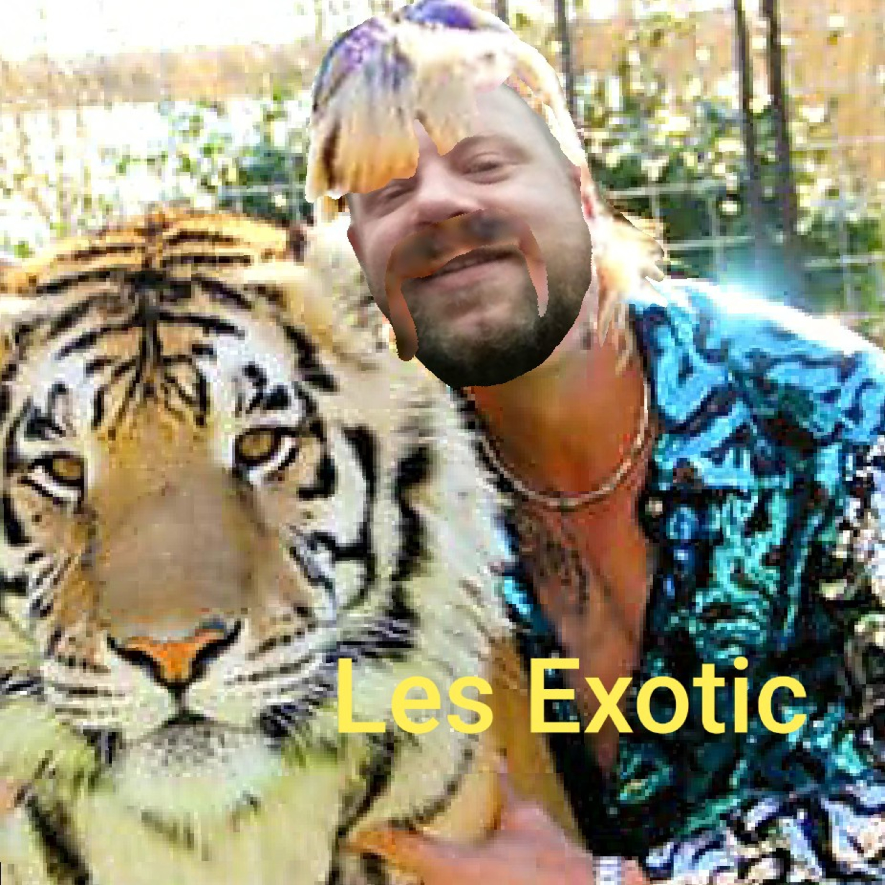 Episode 10: Les Exotic  episode artwork
