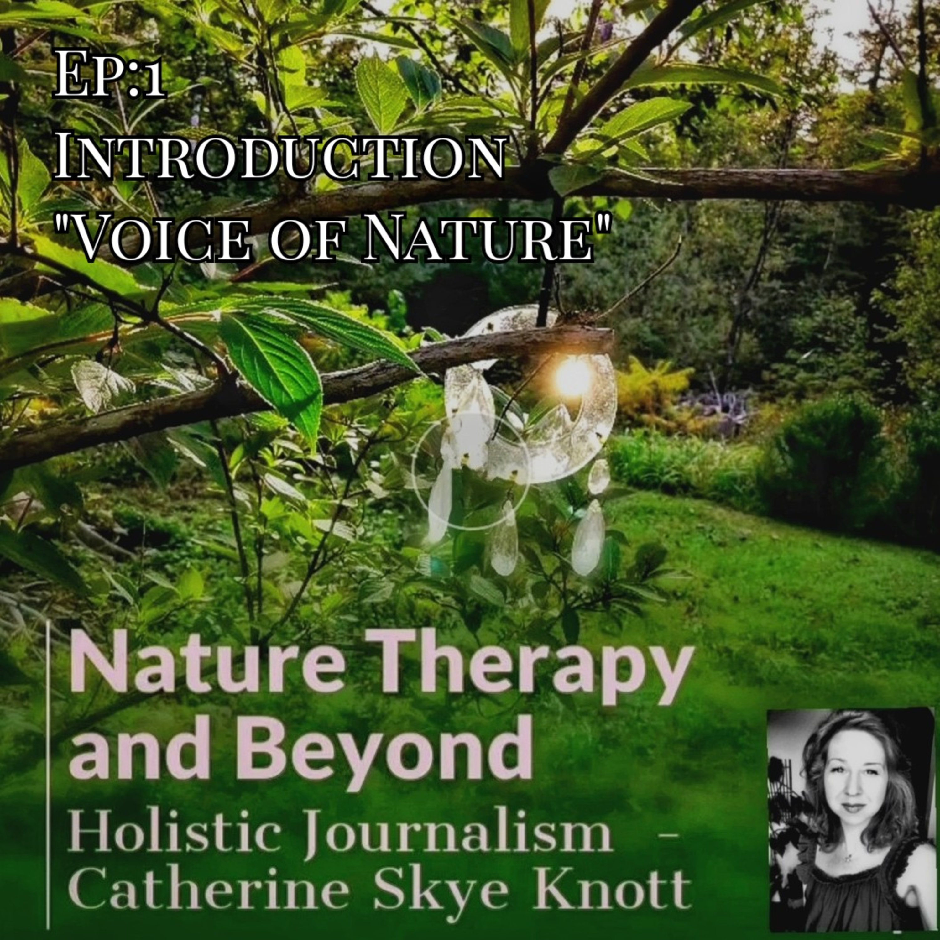 Nature Therapy and Beyond