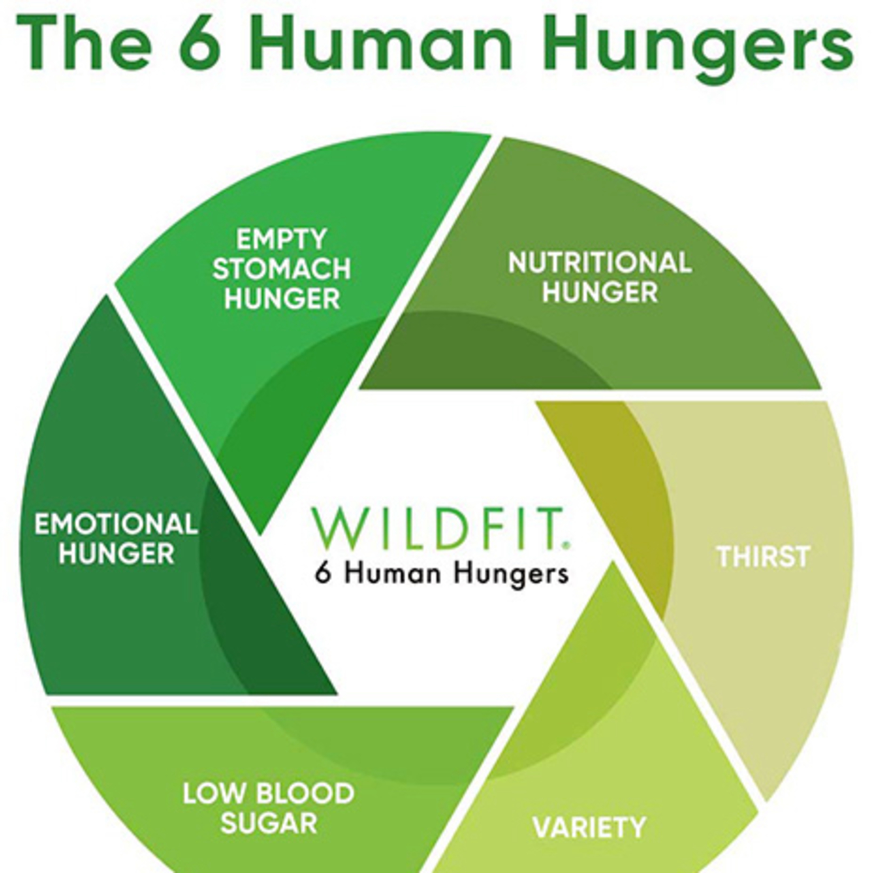#30HariBersuara2023 Day 3 - Persepsi soal Makanan yang berubah lewat program WildFit episode artwork