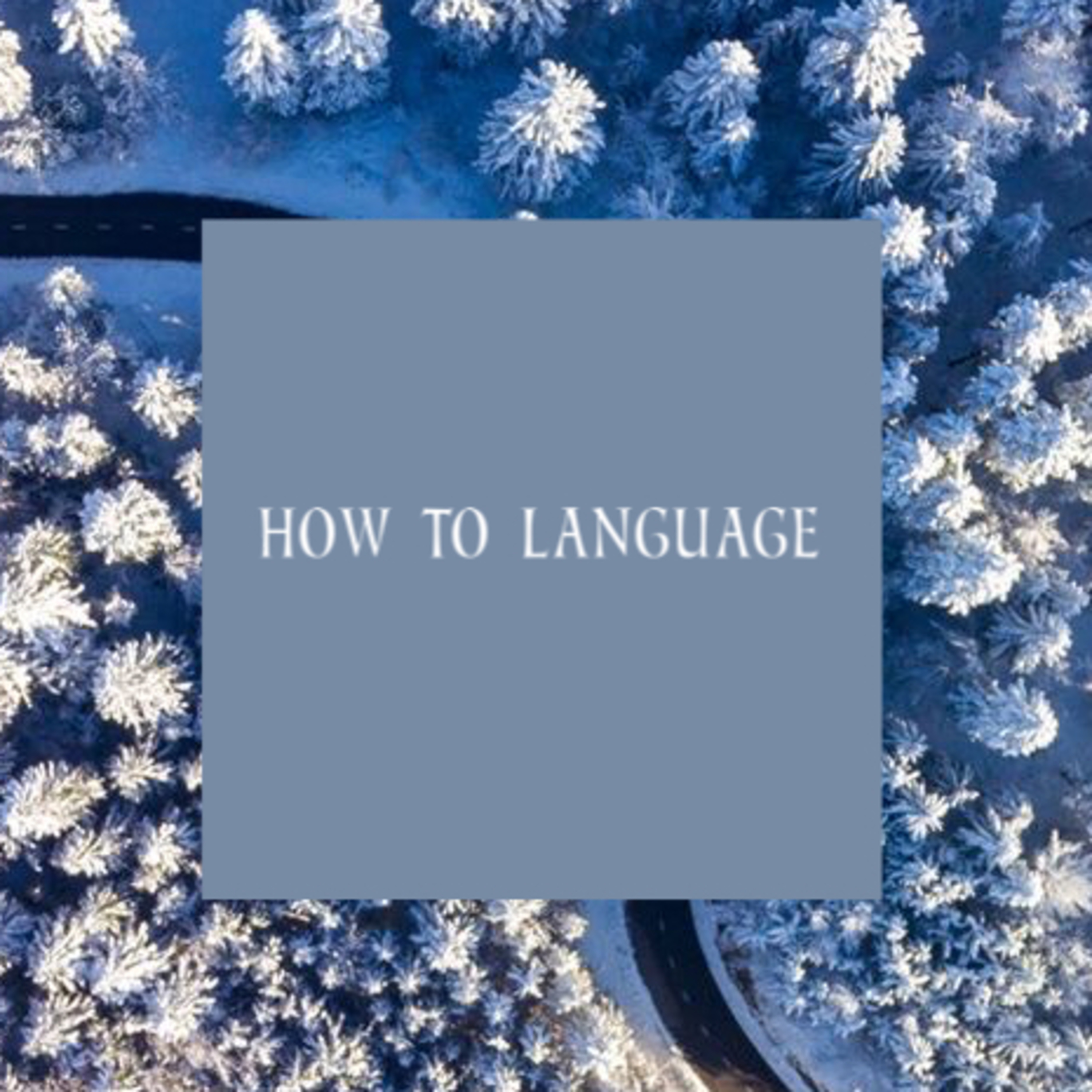 Welcome to How to Language!