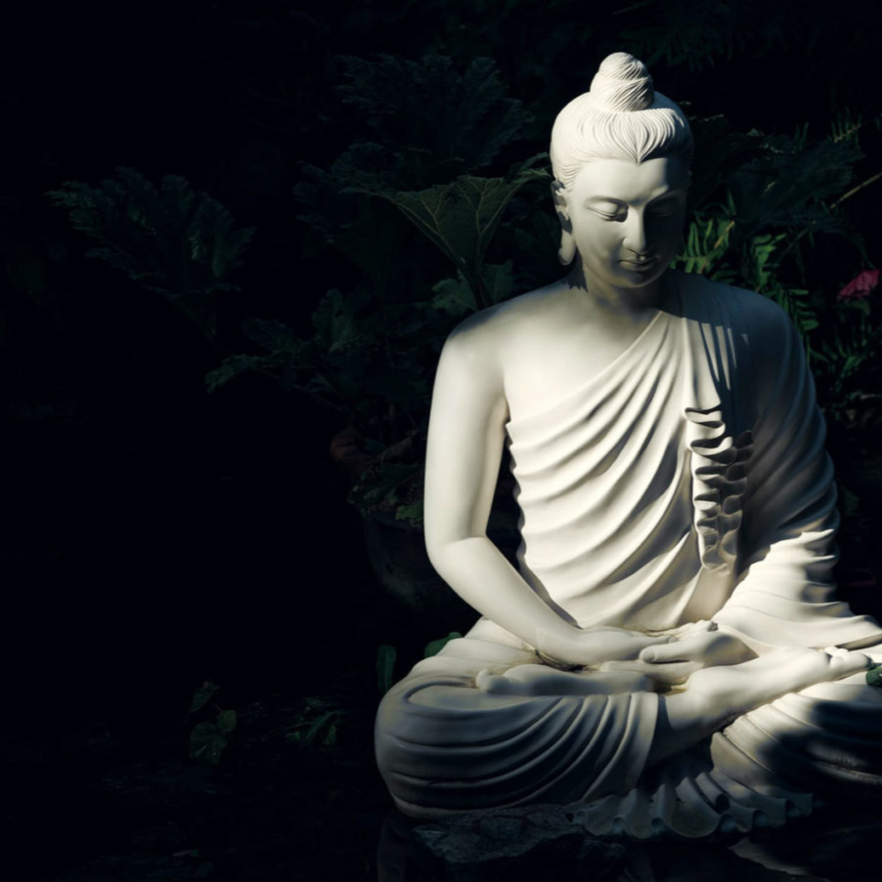 First introduction to Buddhism.