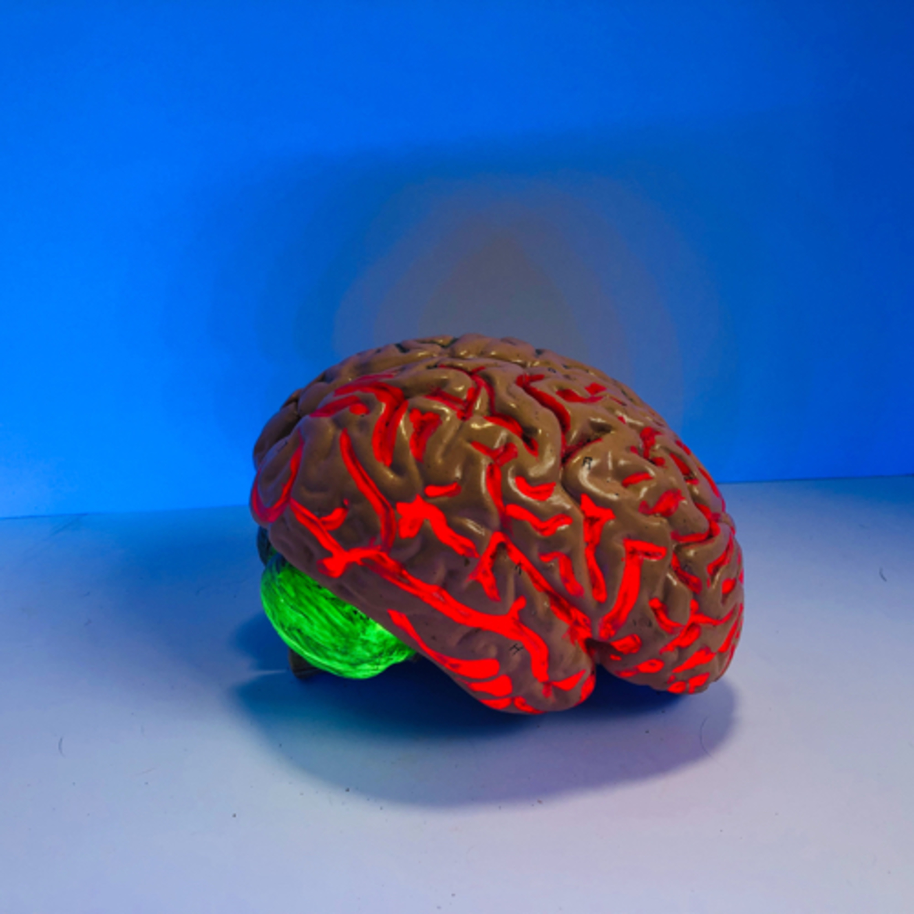 Neurology of Habits episode artwork