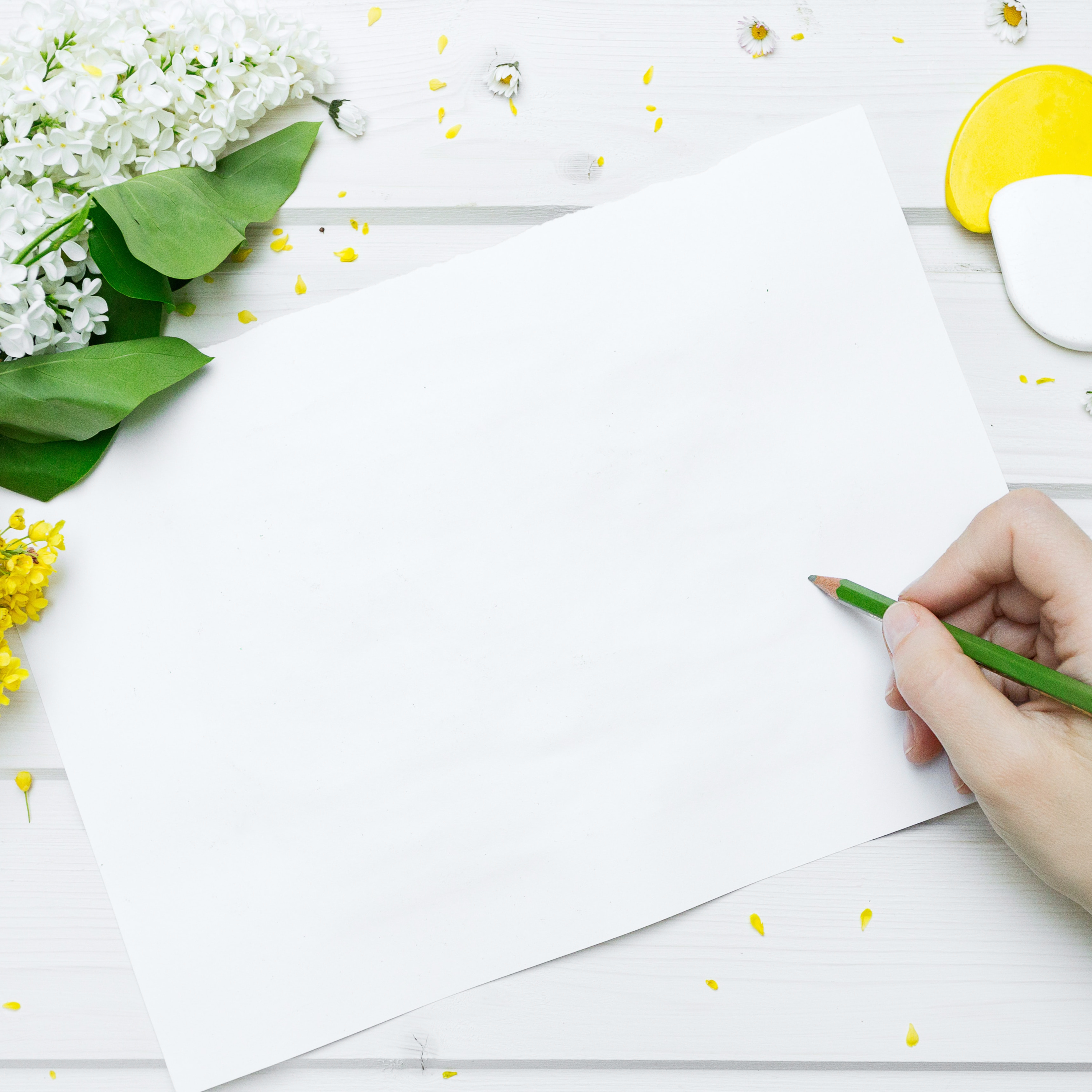 Writing Workshop Part XIV, How to Improve Writing episode artwork