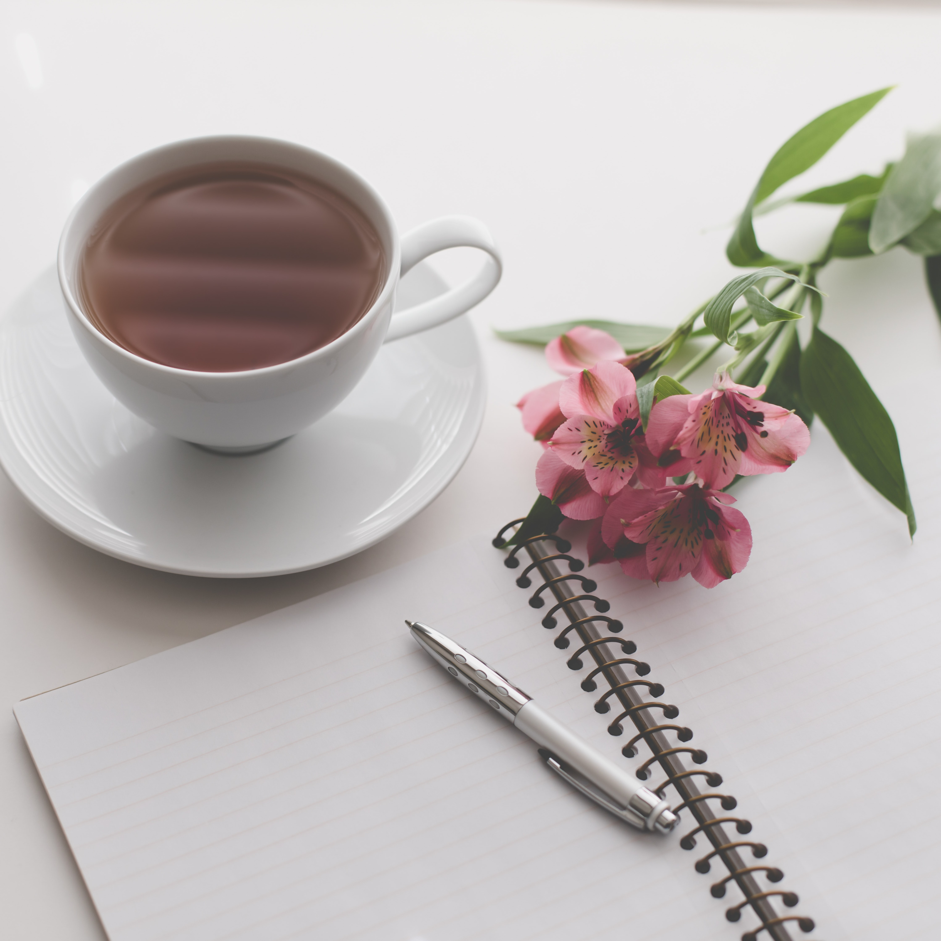 Writing Workshop Part XXI, How to Improve Writing episode artwork